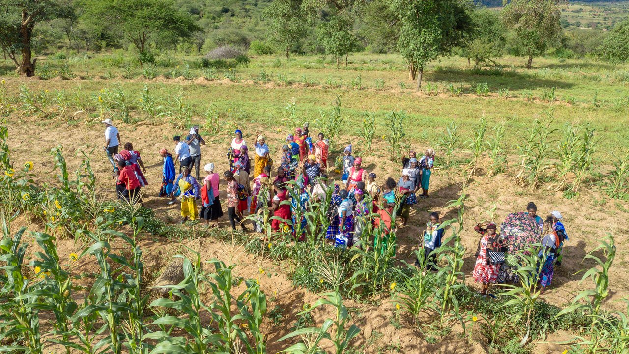 A group of people in colorful clothing gathers in a field with crops and trees under a blue sky.