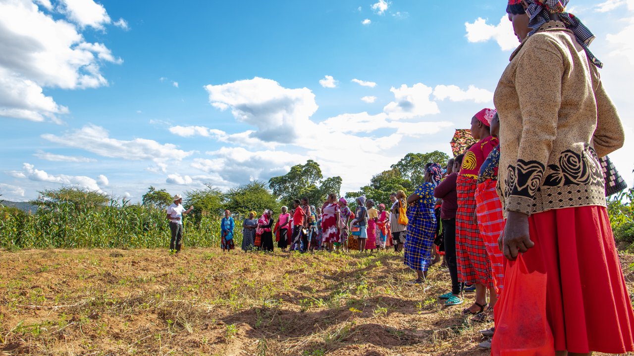 A group of women in colorful attire stands in a field under a blue sky with clouds, listening to a speaker.