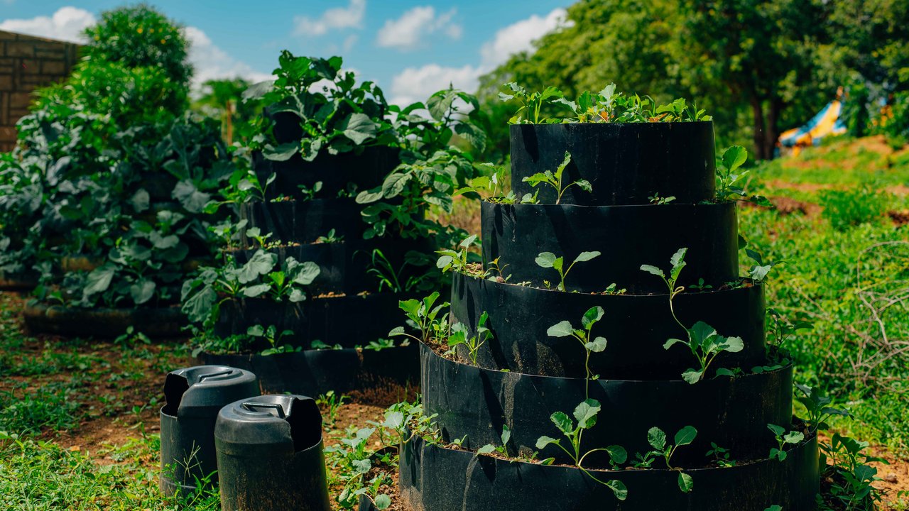 A garden with tiered black planters filled with green plants, surrounded by grass and trees under a blue sky.