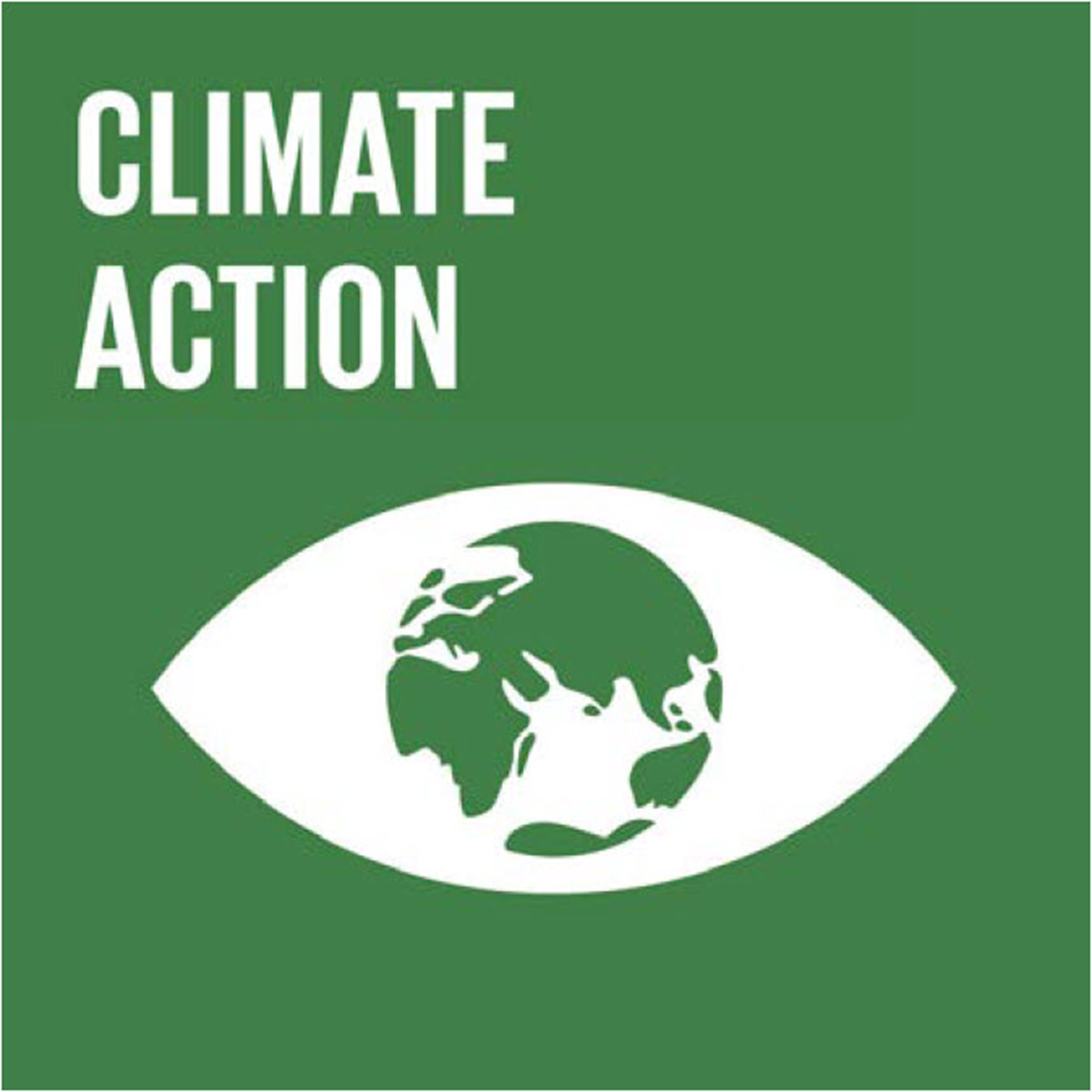 SDG Climate Action
