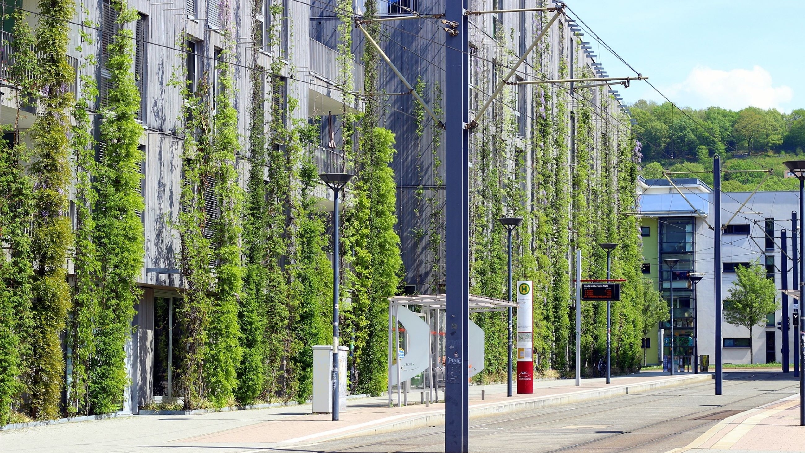 Green facades