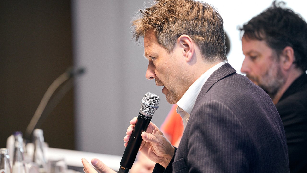 Robert Habeck, Federal chairman of Alliance'90/The Greens