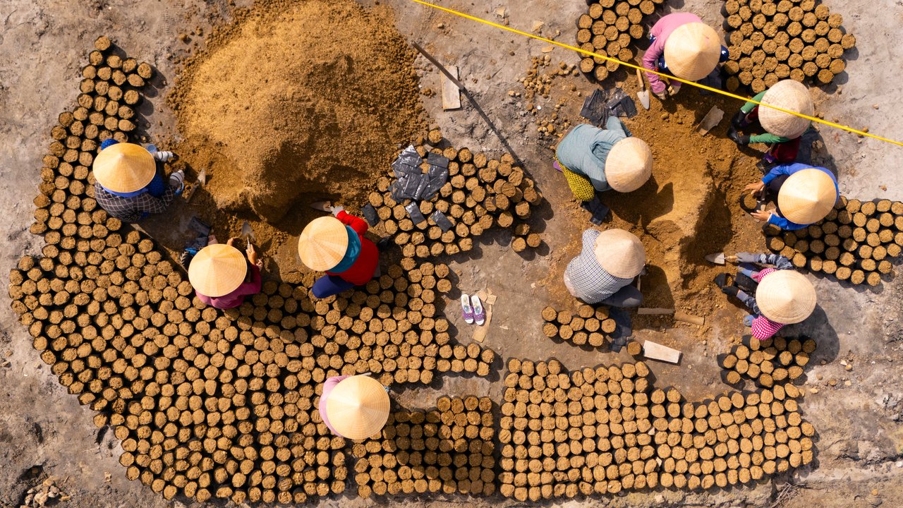 MangrovesPacking Mangrove Pots