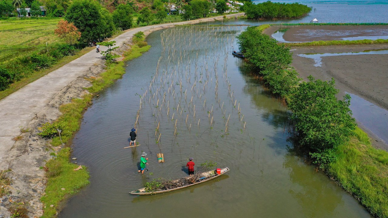 Fishermen planting mangroves in a river landscape