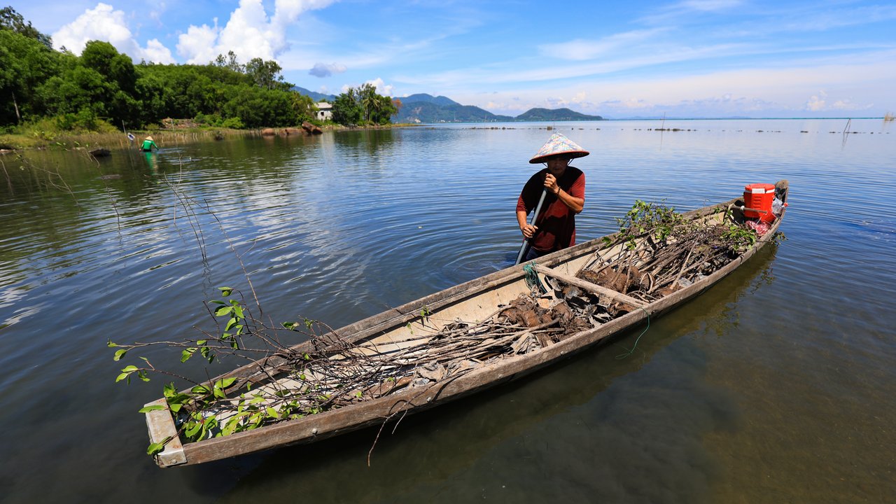 A person in a boat collects branches on a calm lake with trees and mountains in the background under a blue sky.