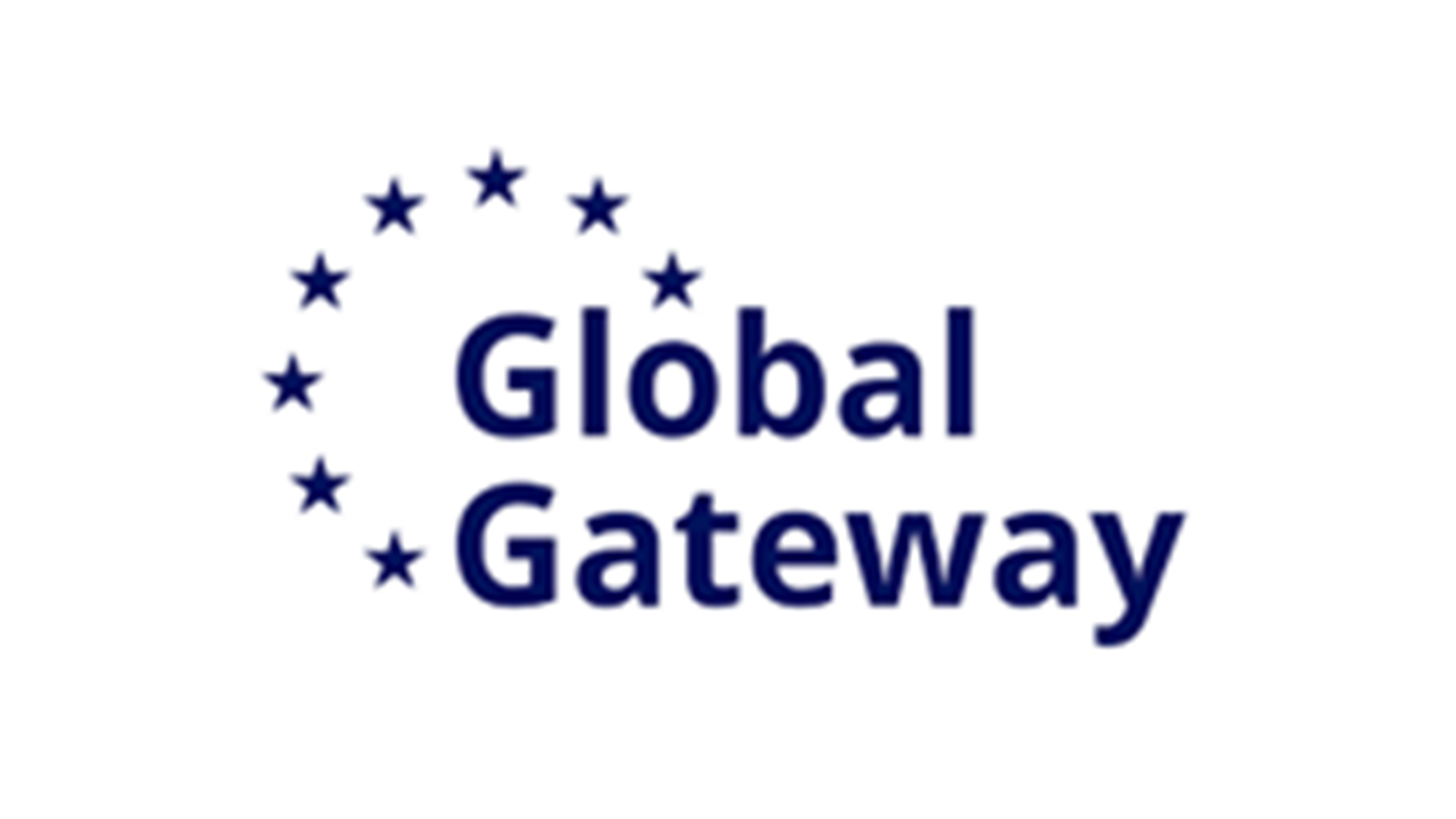 EU logo