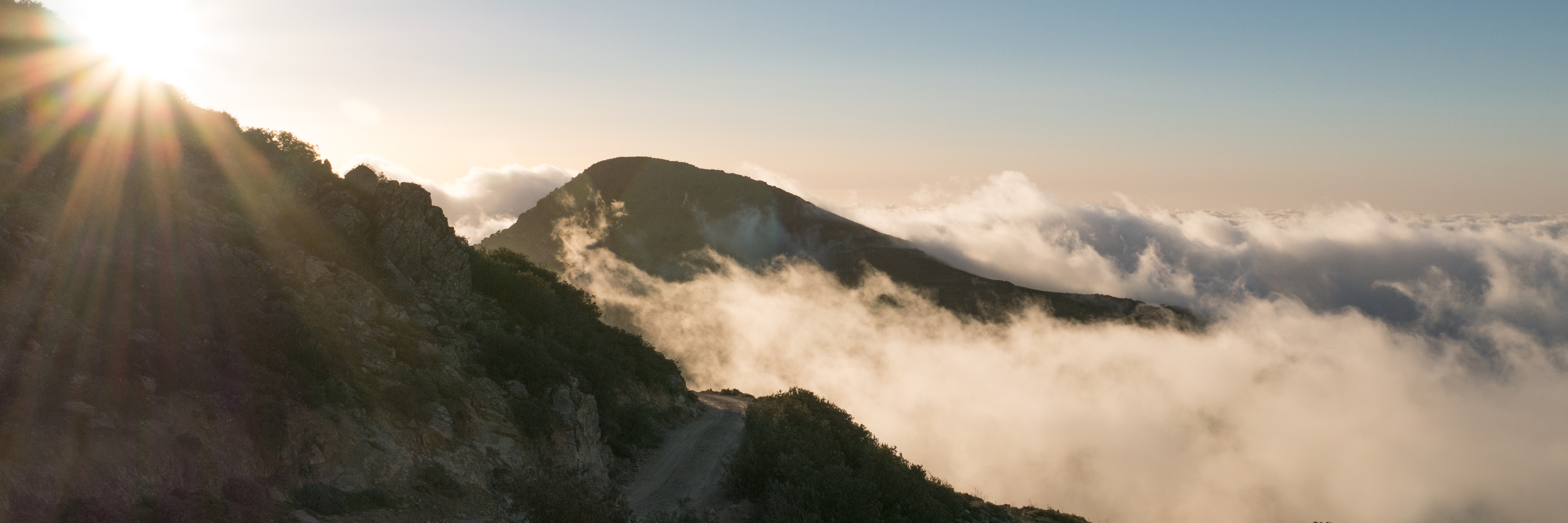 Fog nets Fog nets