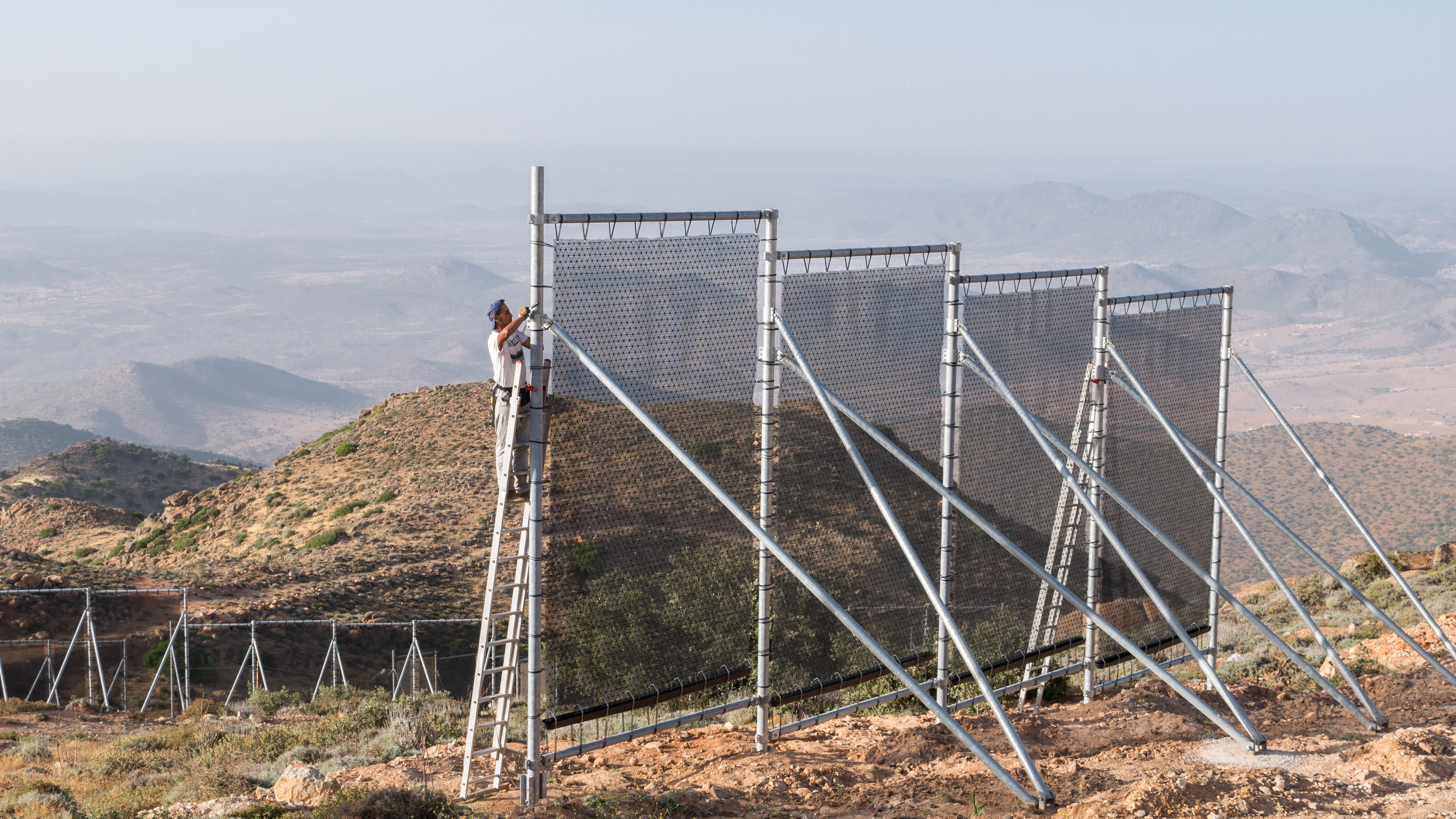 Fog nets Fog nets