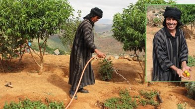 Hassan Ischar looks after the house and farm. Every morning he gives water to his animals and he has also laid out a small vegetable garden where he plants herbs and vegetables. He proudly displays his fresh tomatoes.