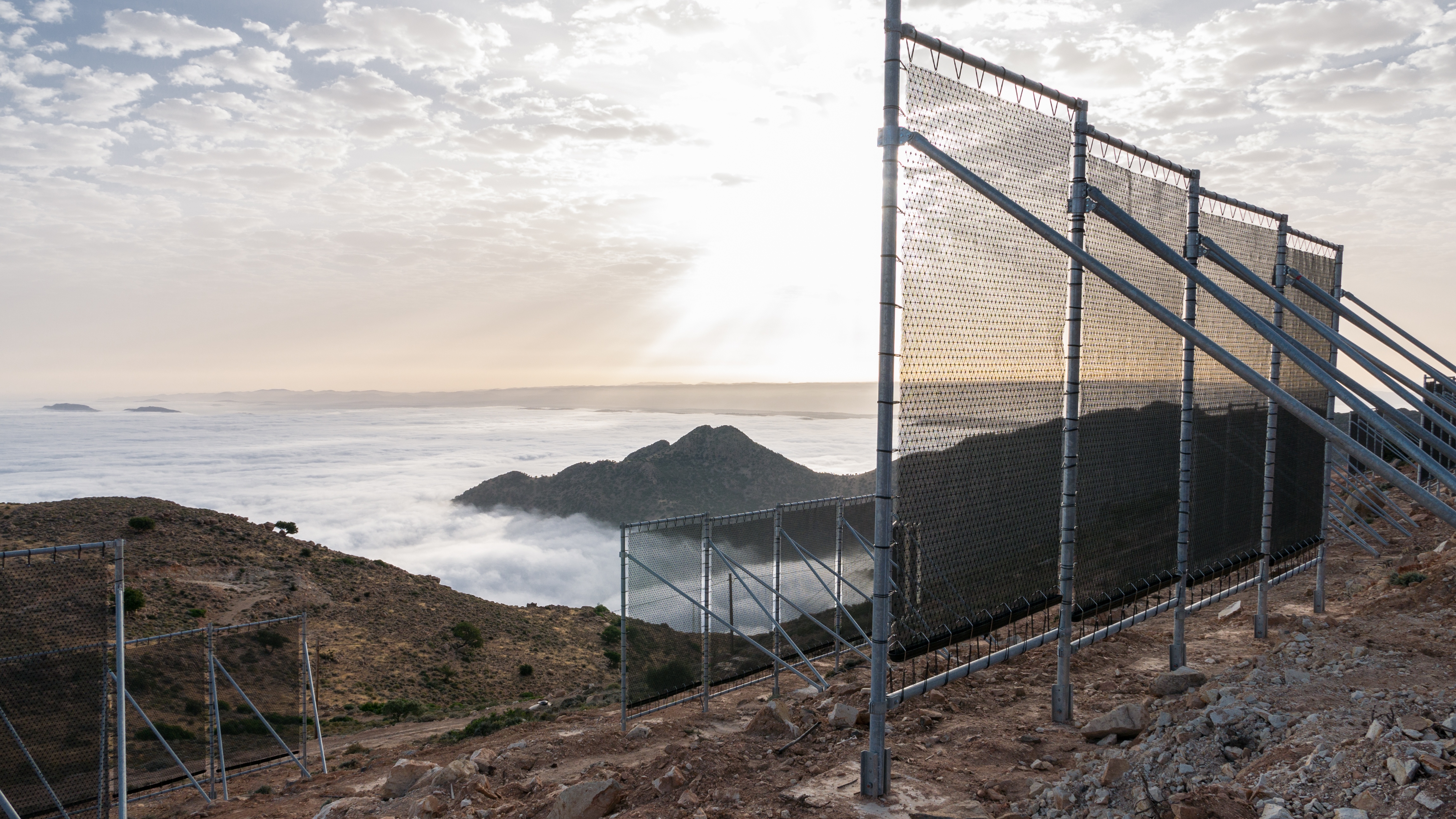 15/17:The new fog collectors are ready for action. 15/17:The new fog collectors are ready for action.