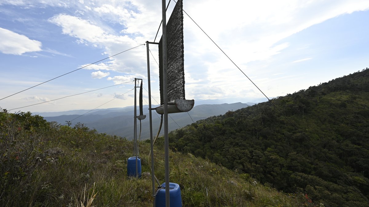 Fog nets Bolivia New fog net project