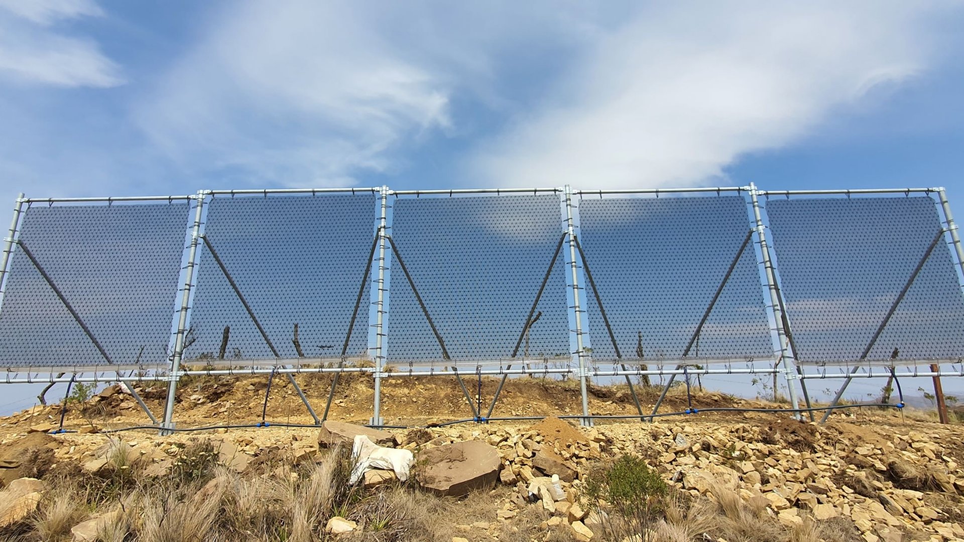 Fog nets on the site