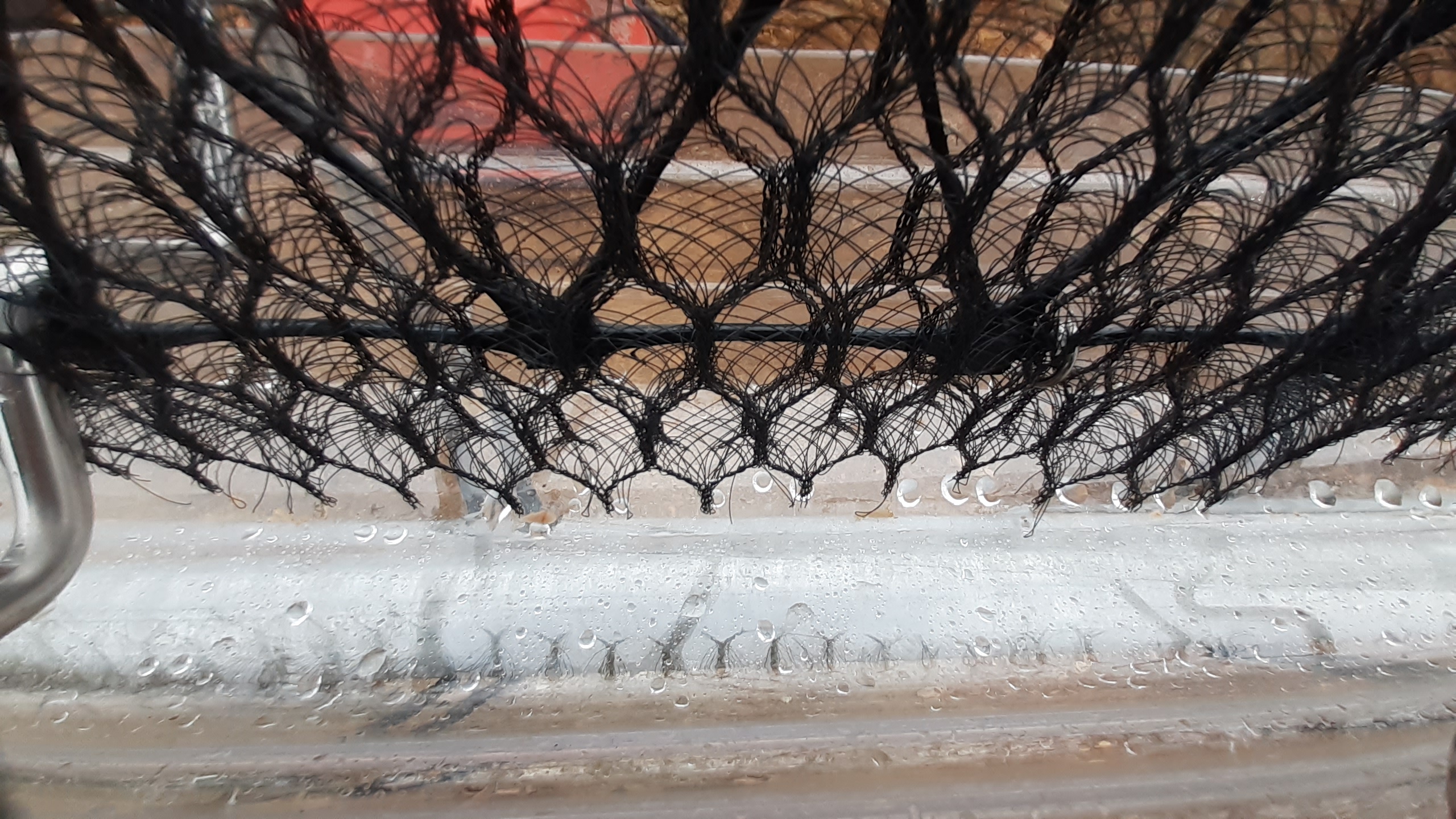 fog net water collection close up