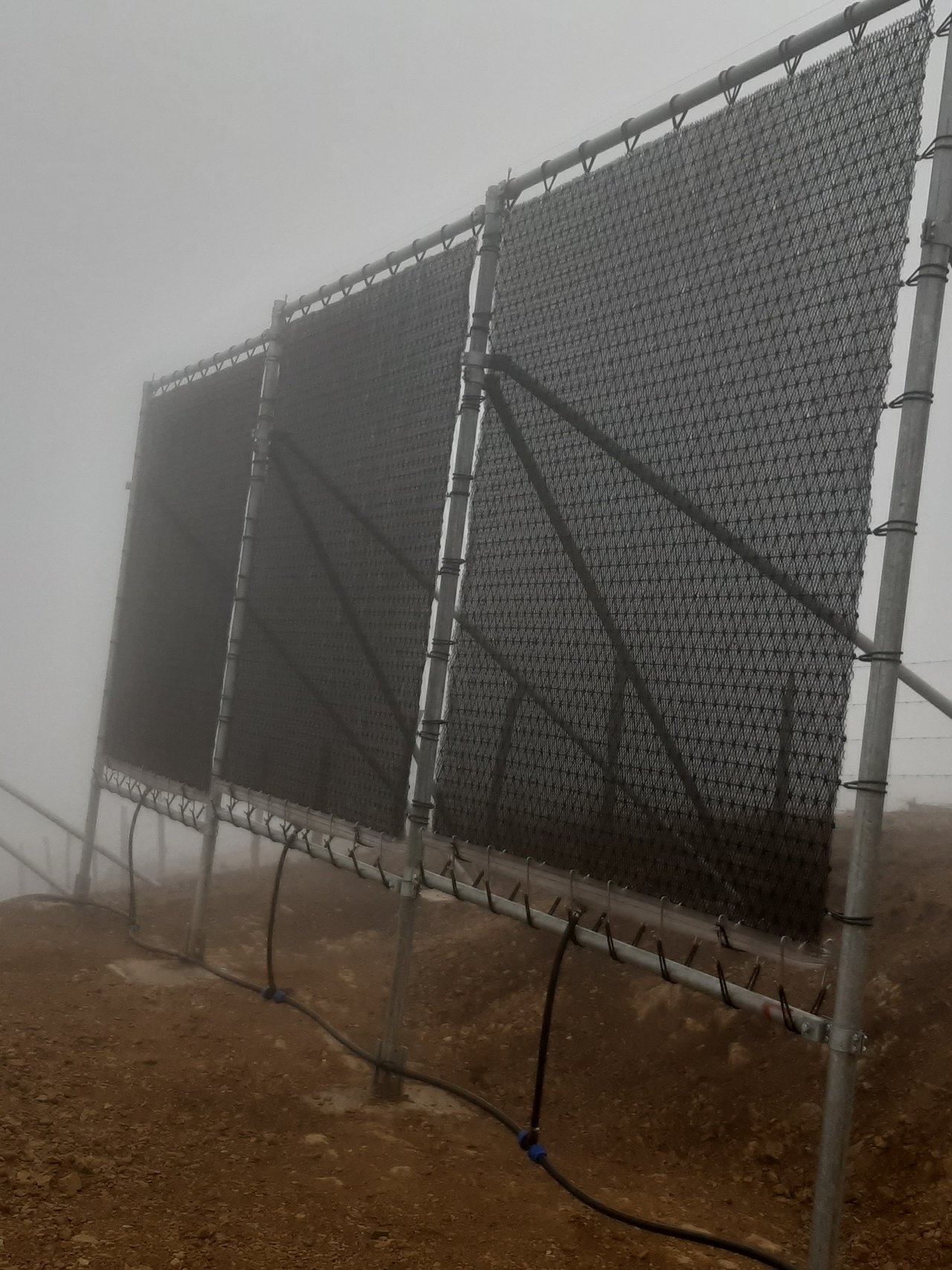 fog net in Bolivia