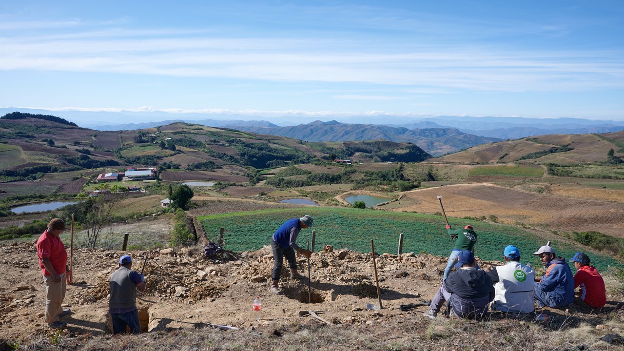 Workers on the field