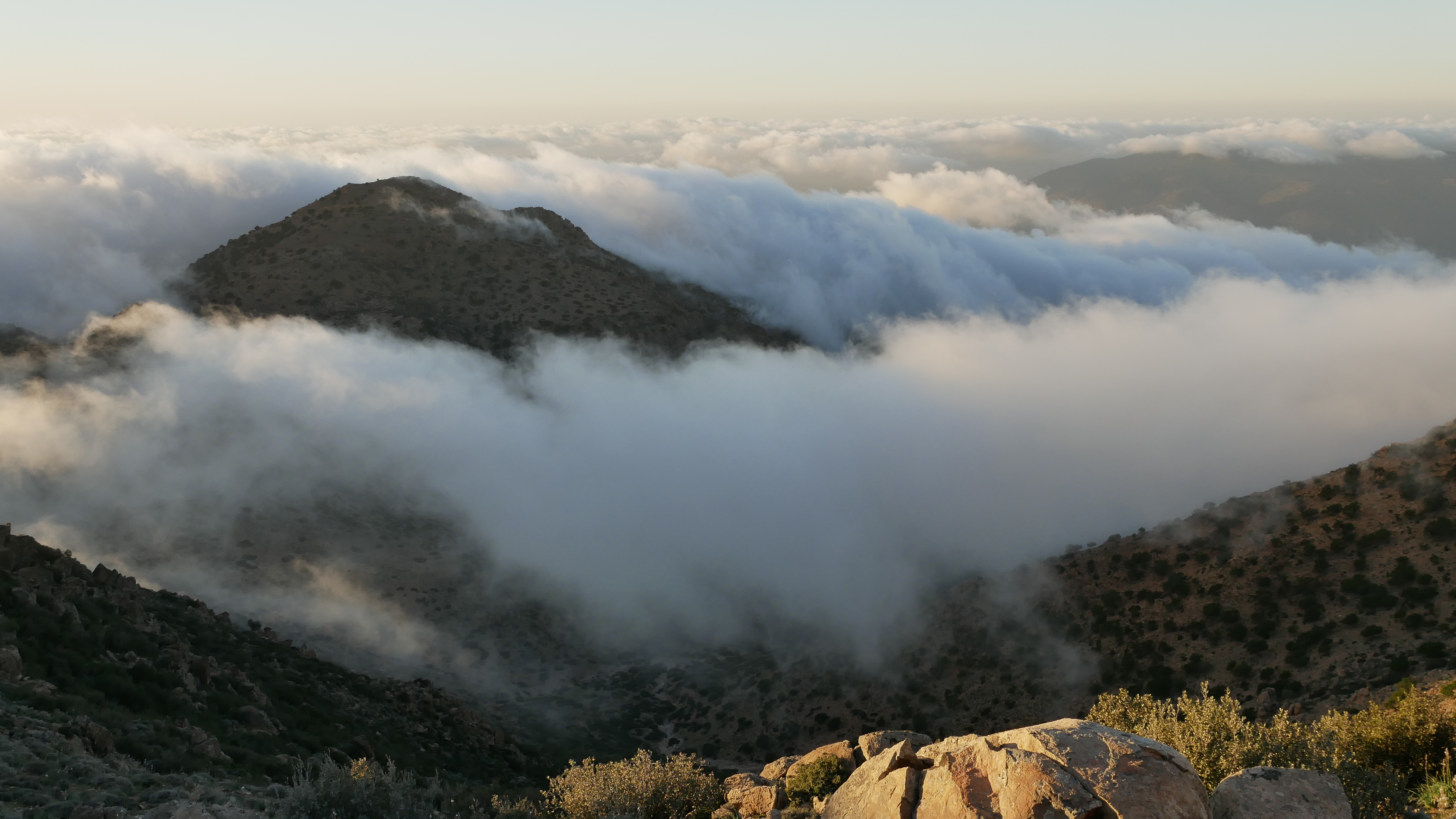 Fognets Bolivia