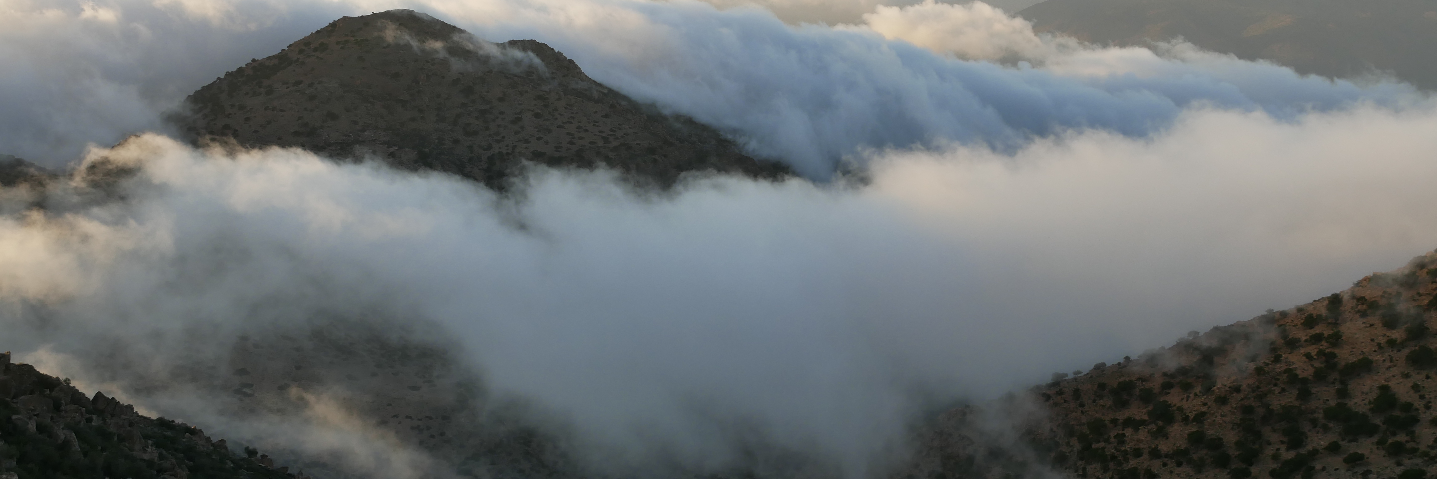 Fognets Bolivia