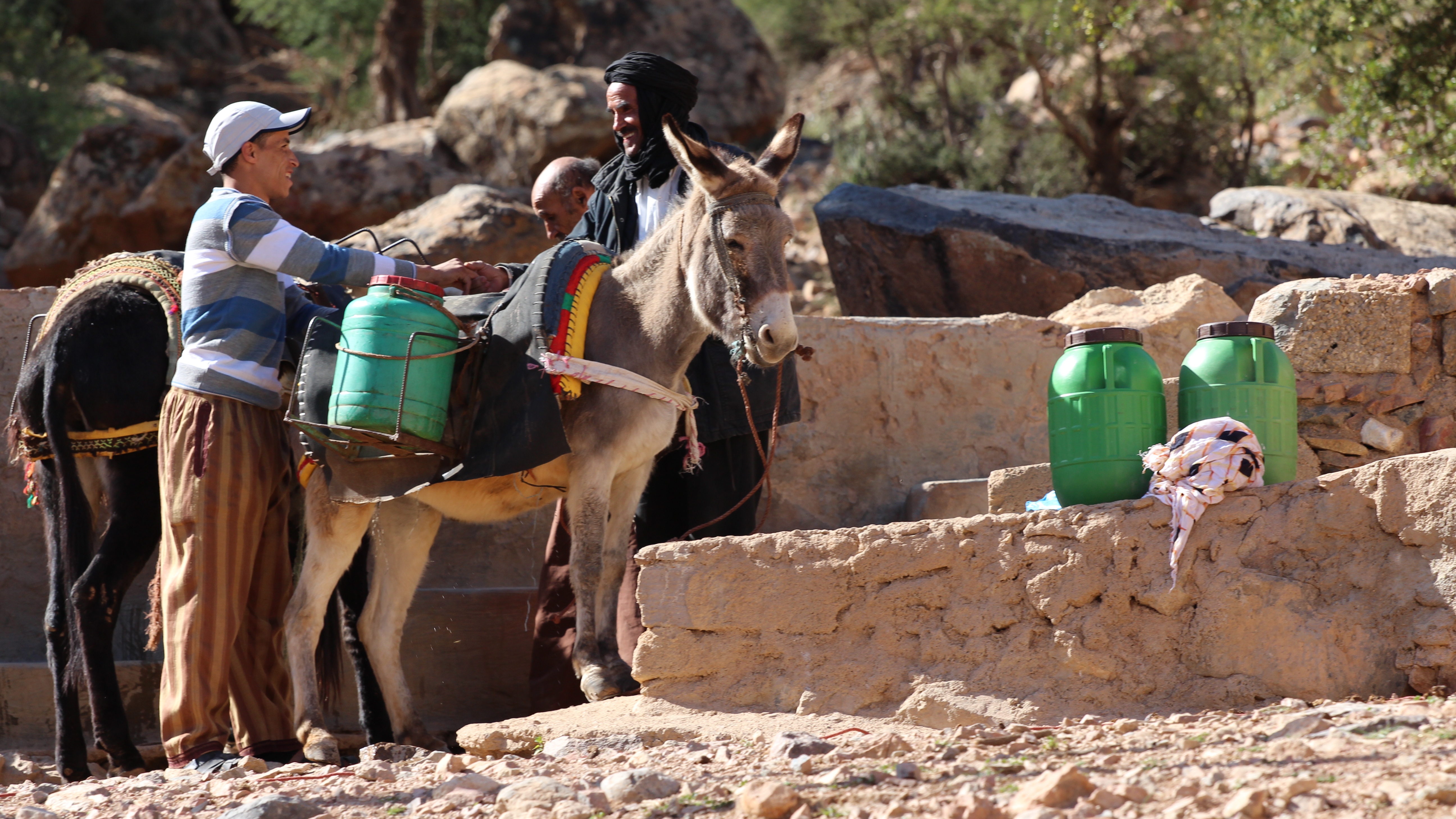 Wassertransport - Esel