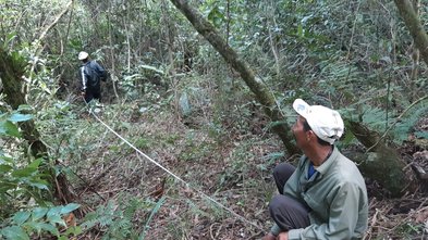 The water obtained can also be used in agriculture for livestock breeding and plant irrigation. 