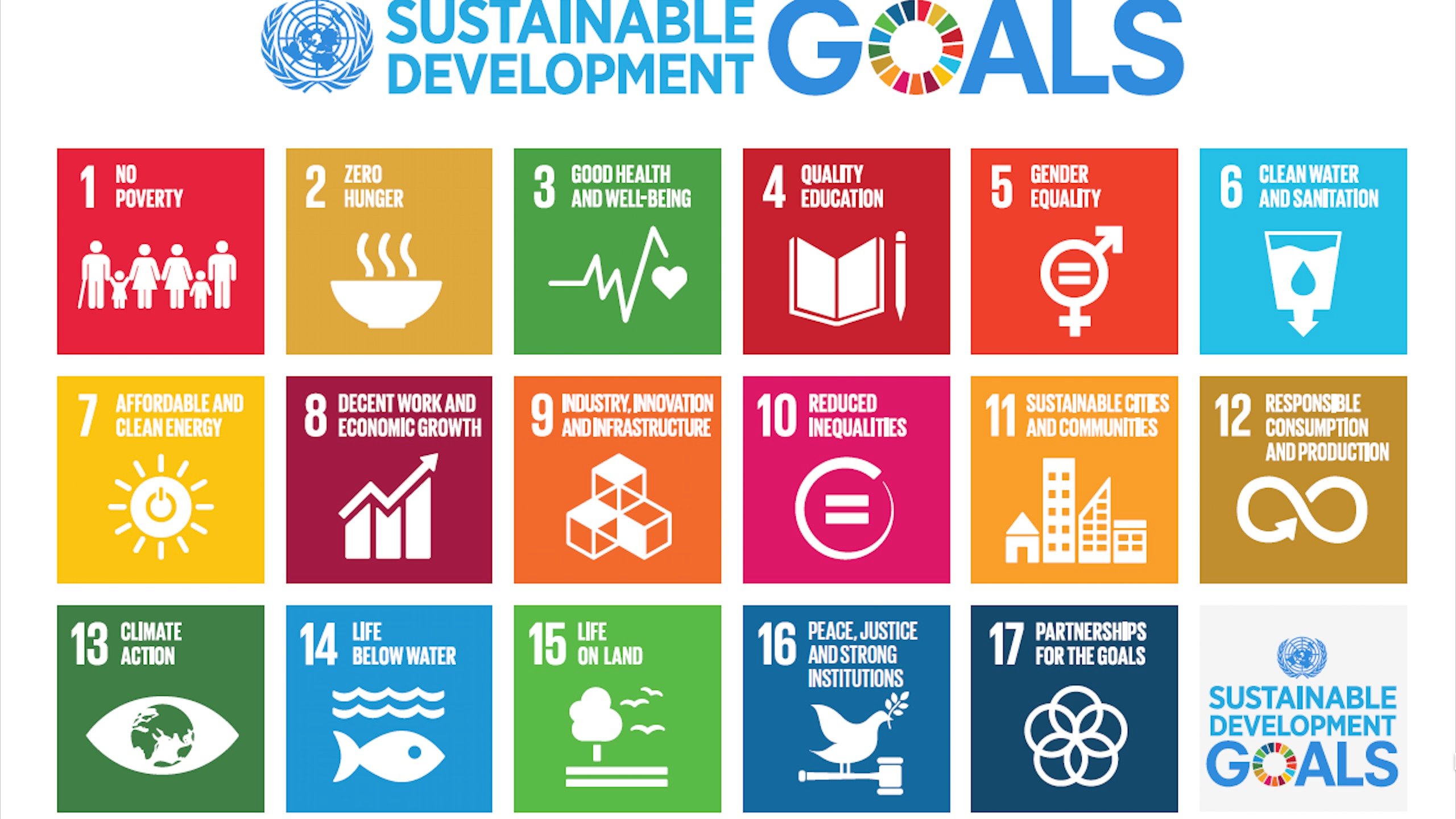Sustainable Development Goals (SDGs) logo