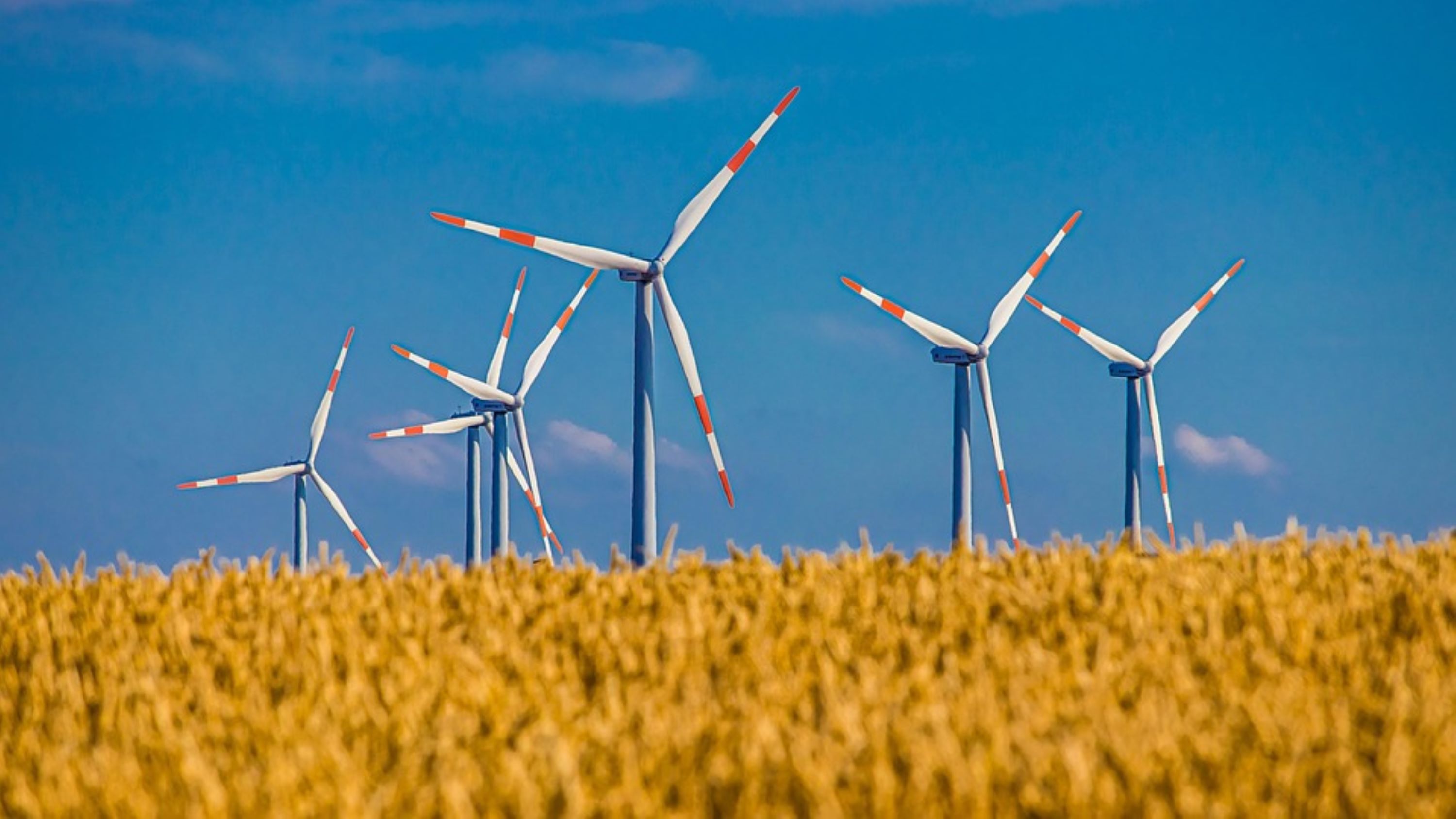 Windmill in field