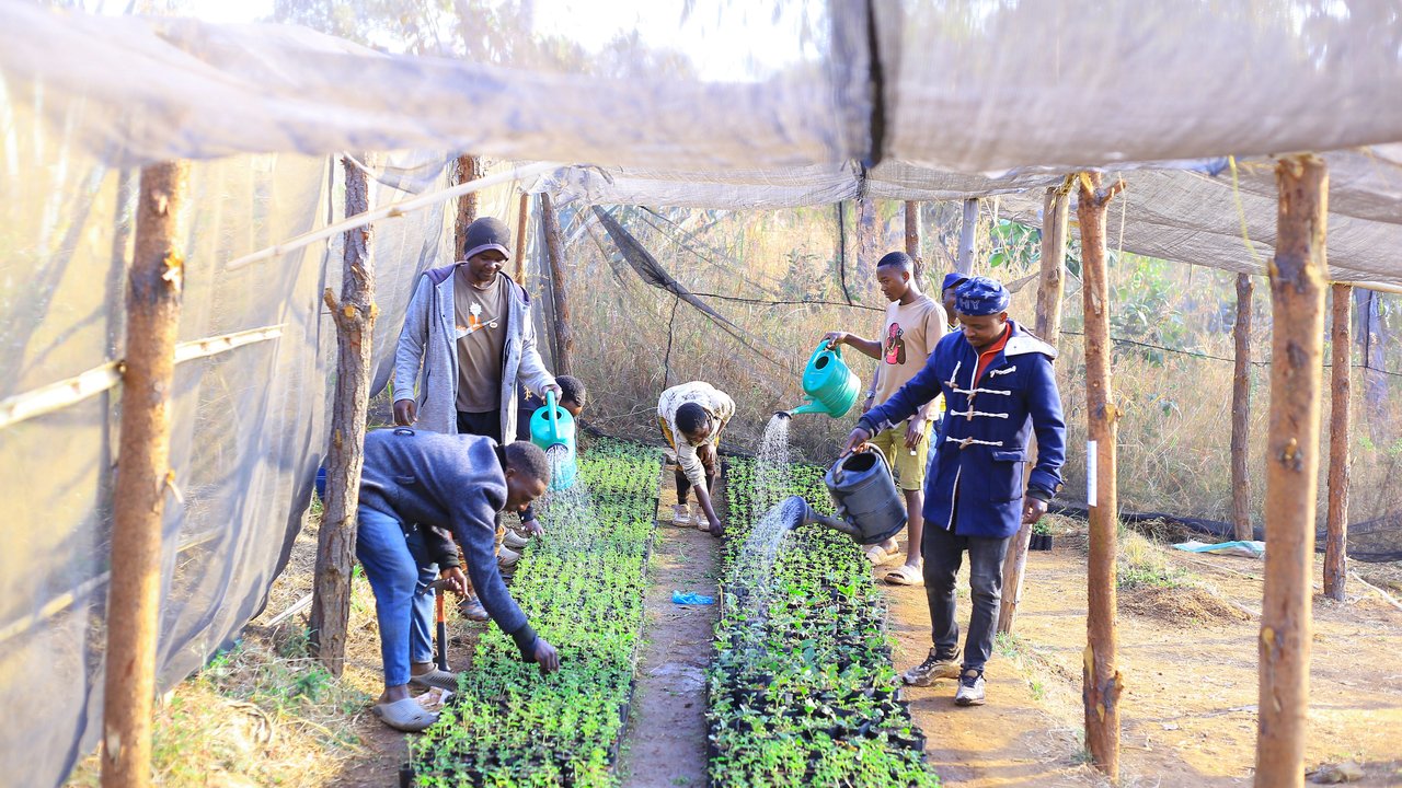 A group of people tending to young plants in a greenhouse, watering and planting seedlings.