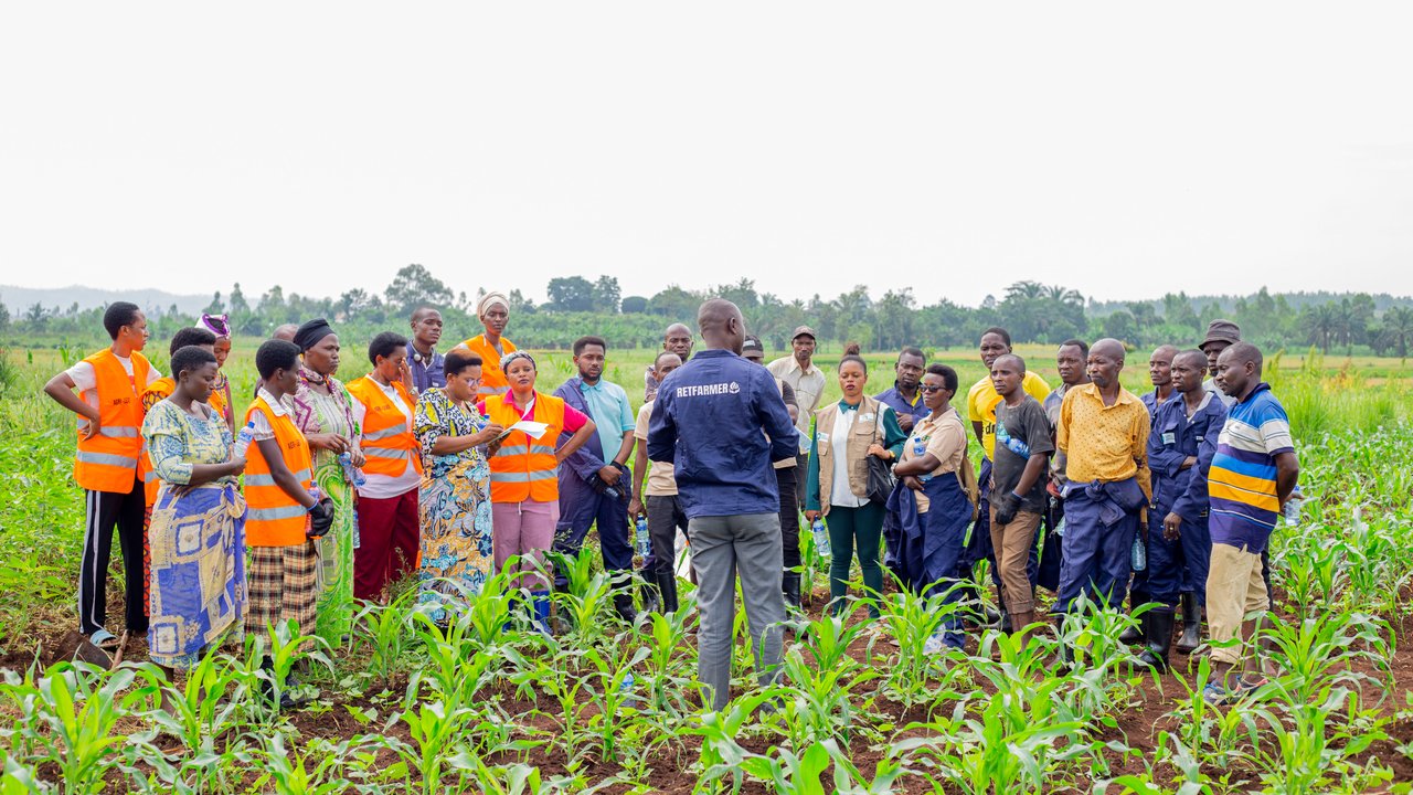 A group of people in orange vests gathers around a person kneeling in a field of tall grass.