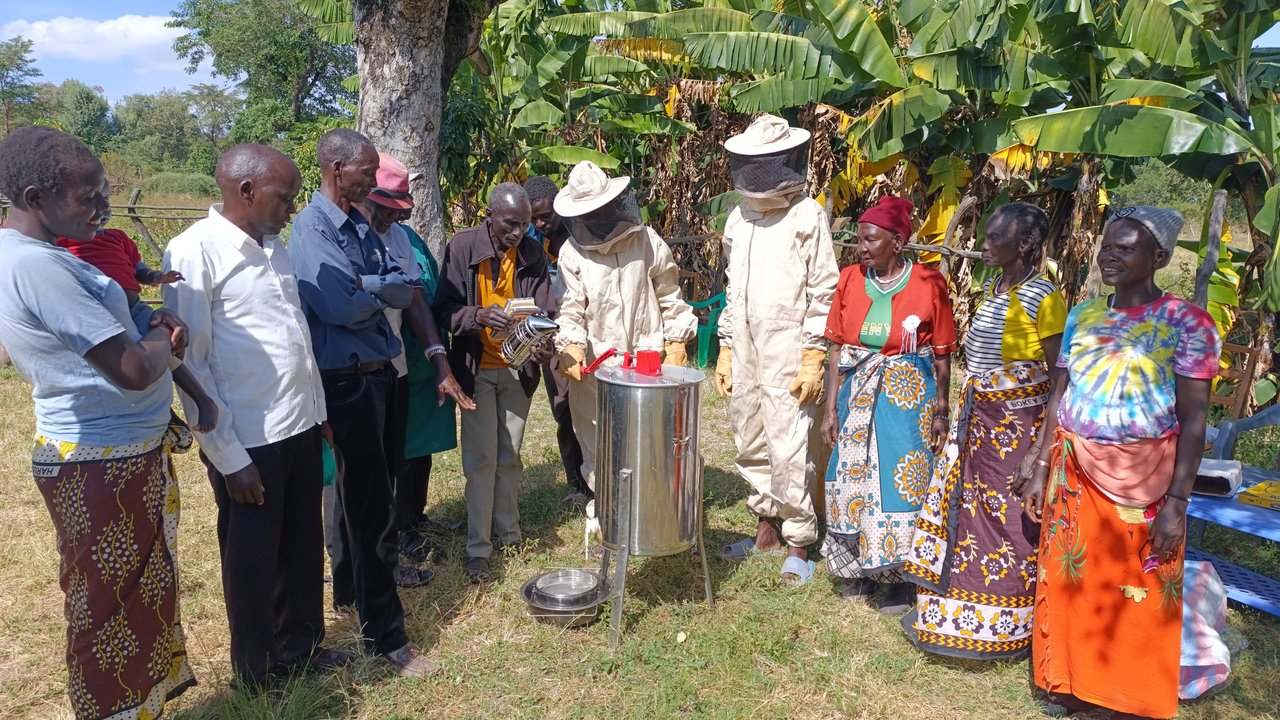 A group of people gathers around a beekeeping setup in a field with banana trees in the background.
