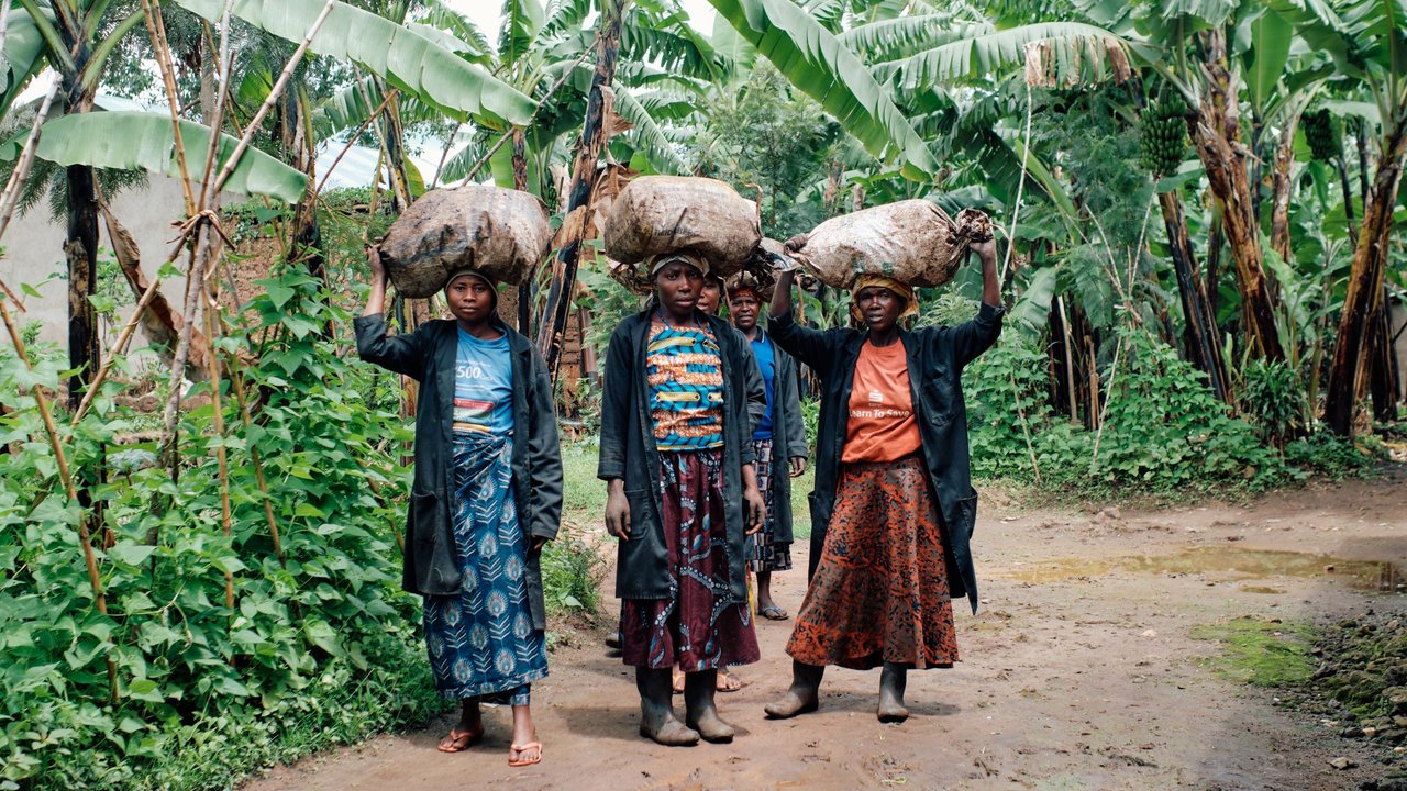 three women carying rice backs on a street surrunded by trees 