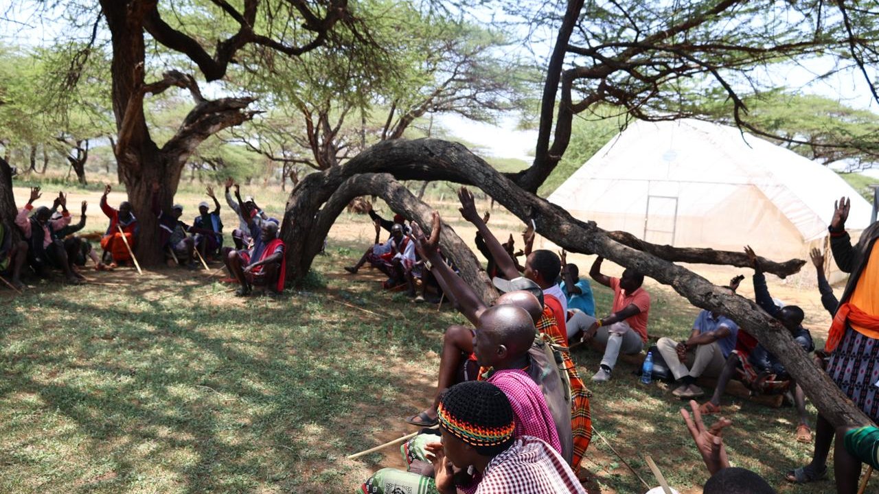 A group of people sitting under trees, some raising their hands, with a tent visible in the background.