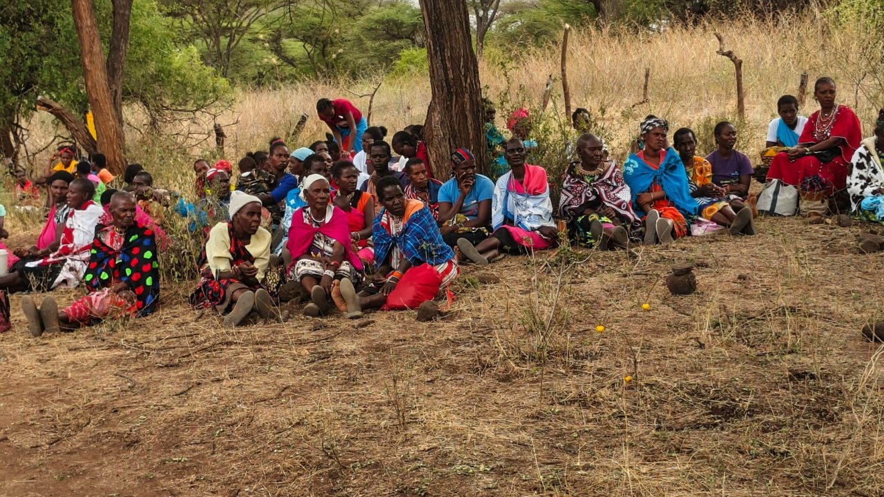 A group of people sitting on the ground under a tree in a grassy area, wearing colorful traditional clothing.