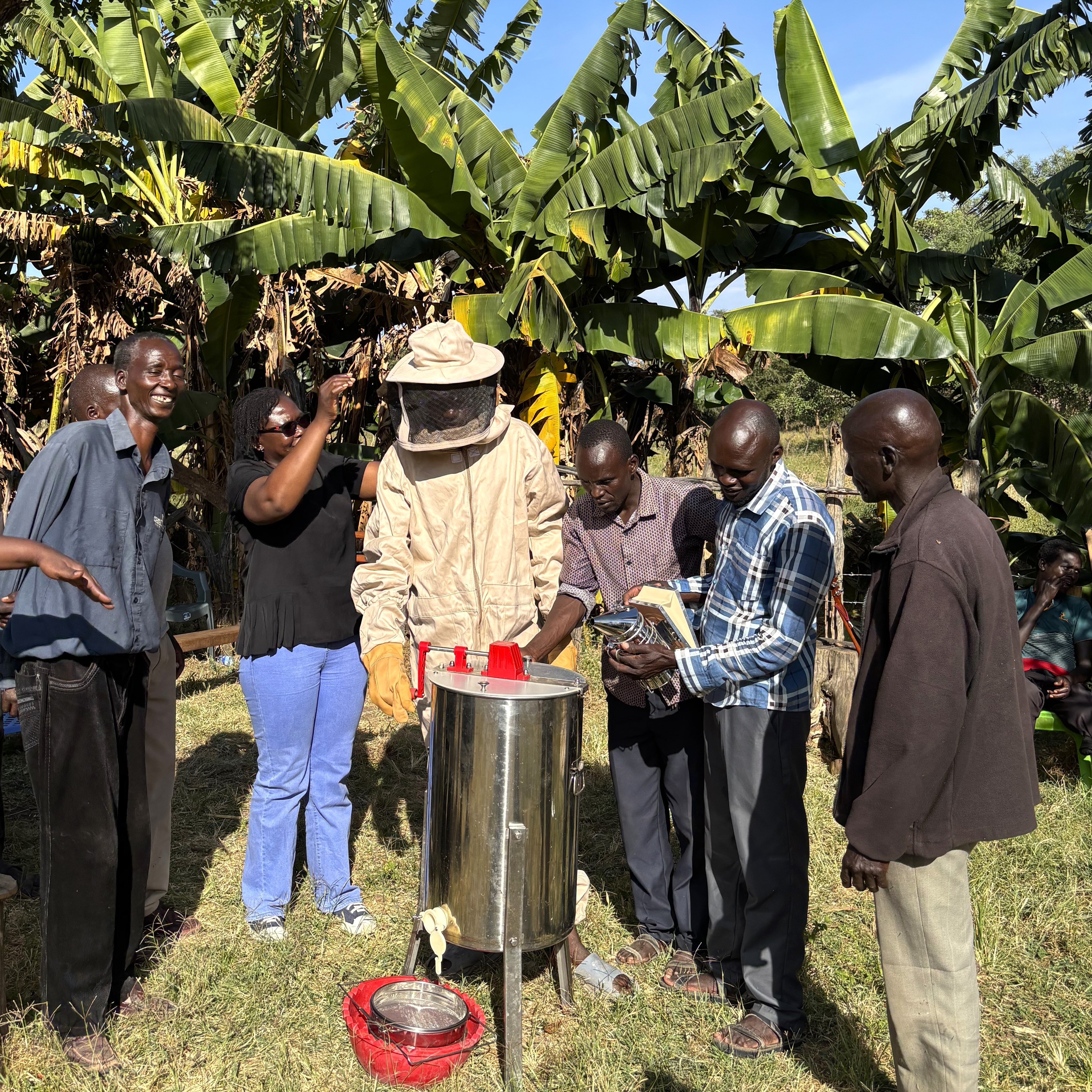 A group of people gathers around a beekeeping setup in a banana grove, discussing and observing equipment.