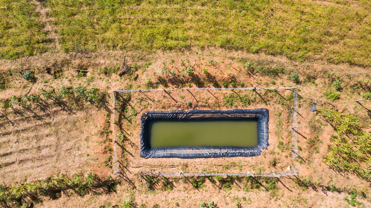 Water Pan in field