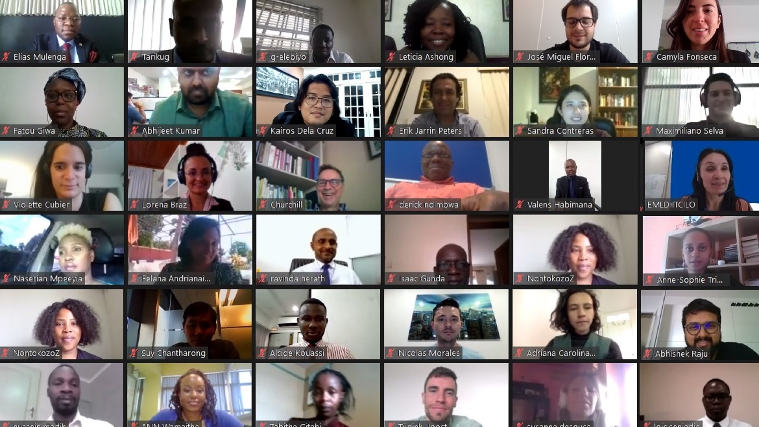 ILO 2020 Insurance for Development Participants 3