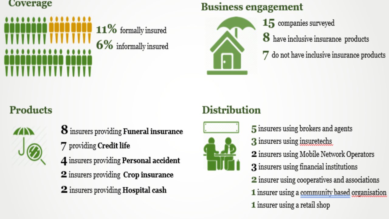 2021-LS_Mozambique_Summary_Landscape_Pic1_c