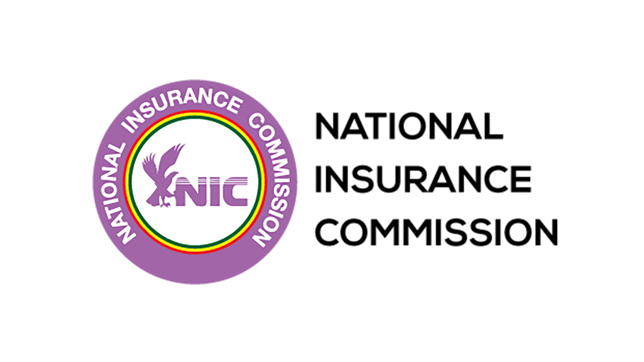 NIC Logo NIC Logo
