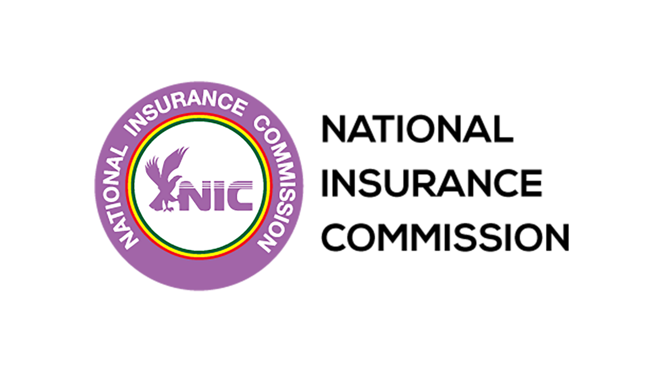 NIC Logo