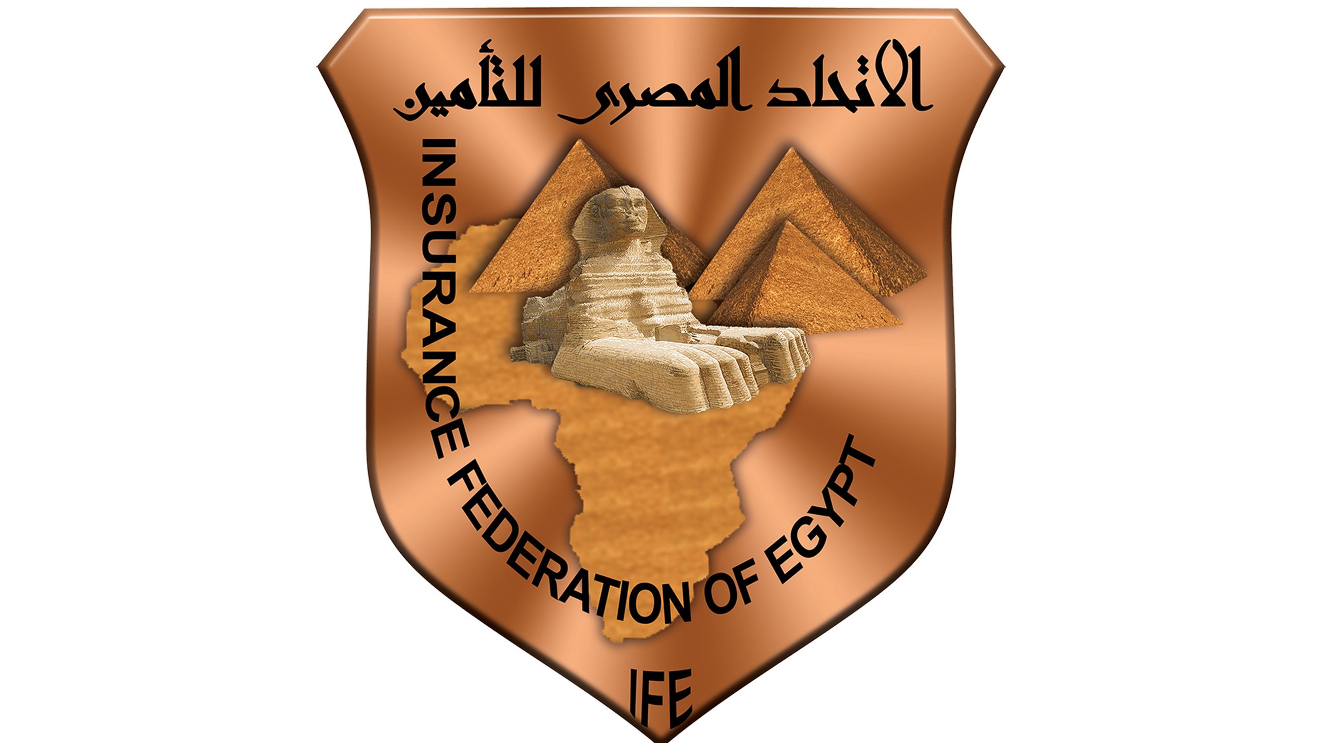 Logo IFE