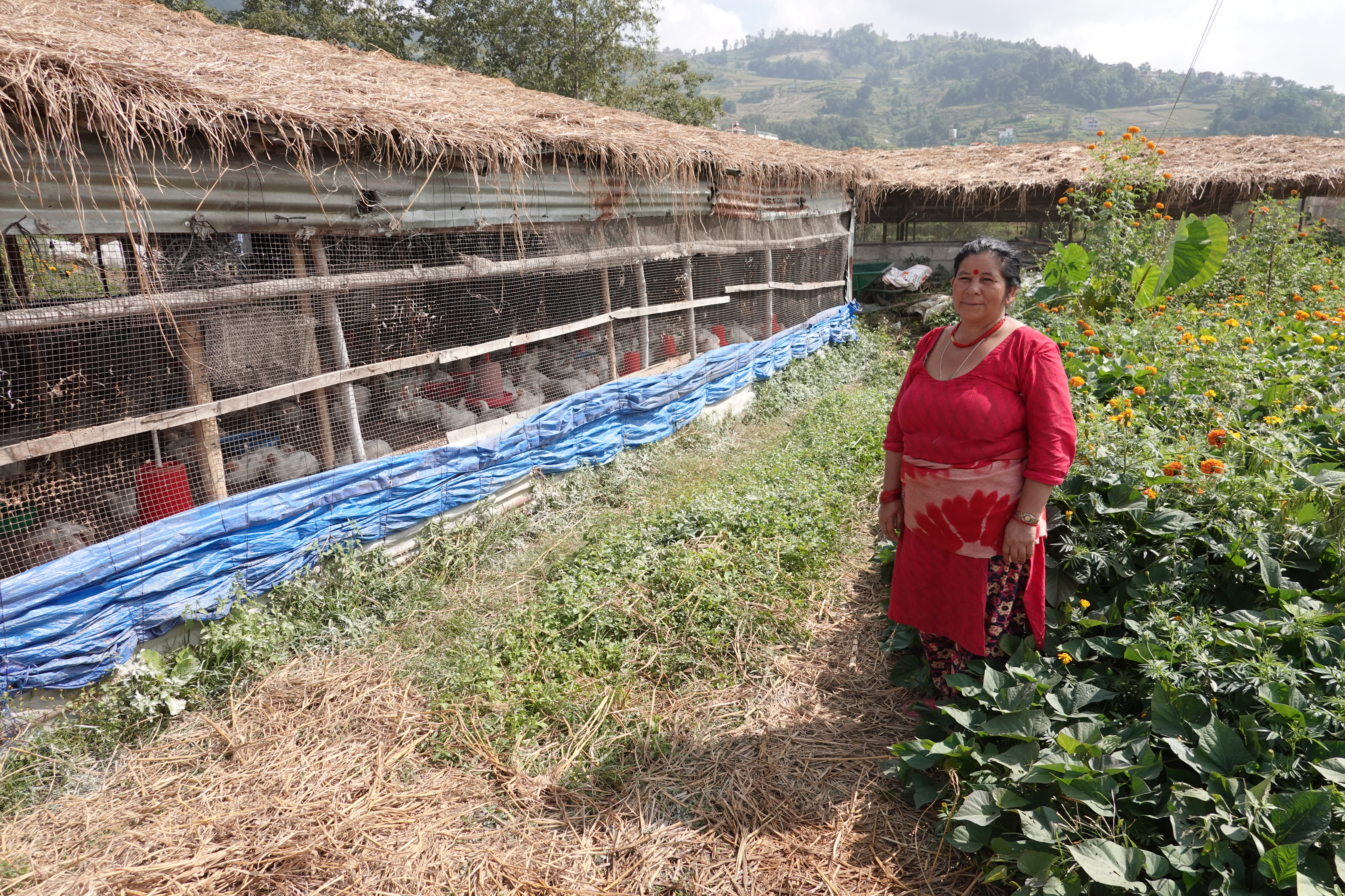 A farmer in front of her poultry farm with around 2000 birds. "I would also like to insure my house," she said when the insurance representatives visited her.