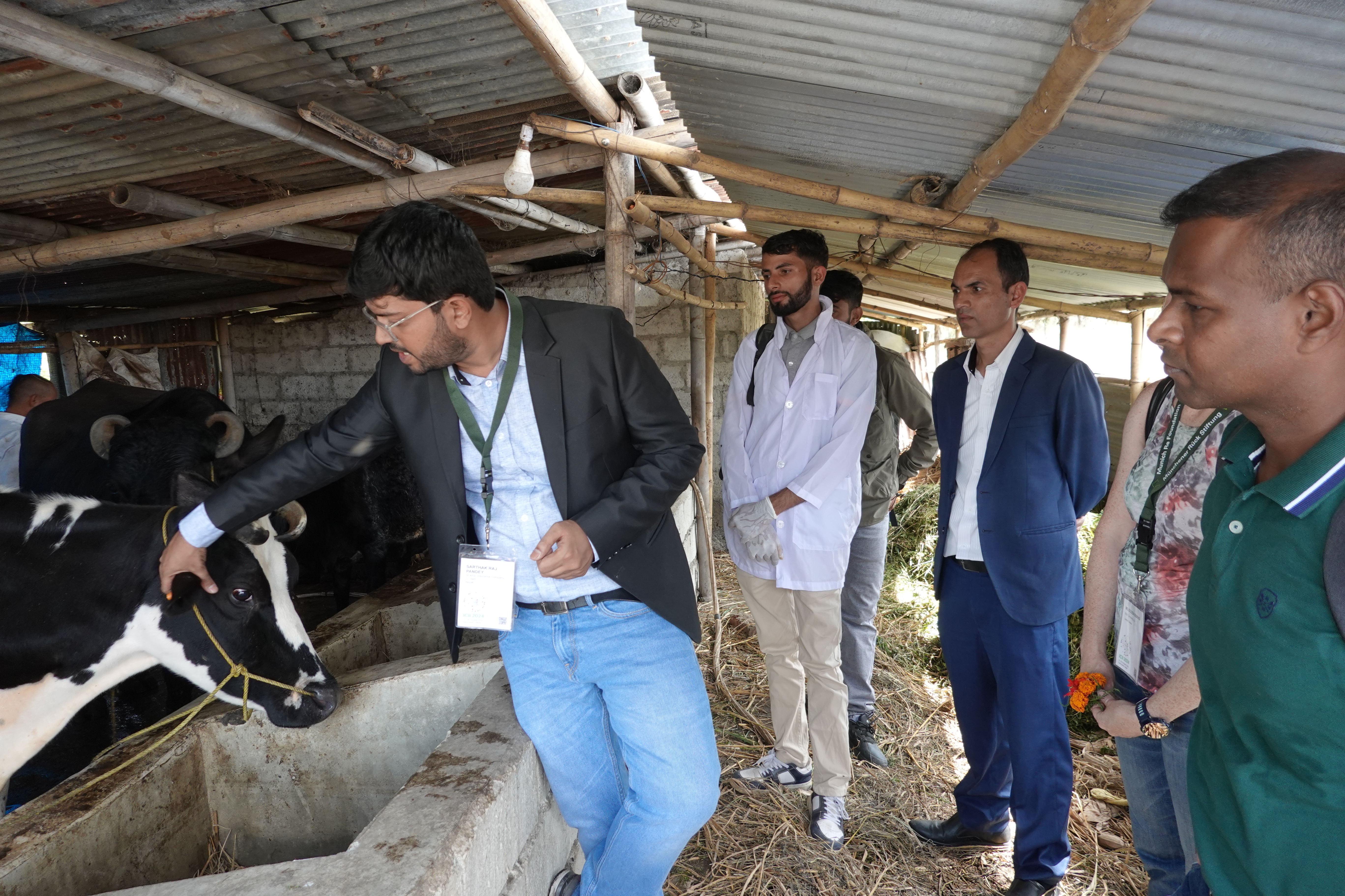 Sarthak Raj Pandey of Shikhar Insurance explains how cattle are insured. 