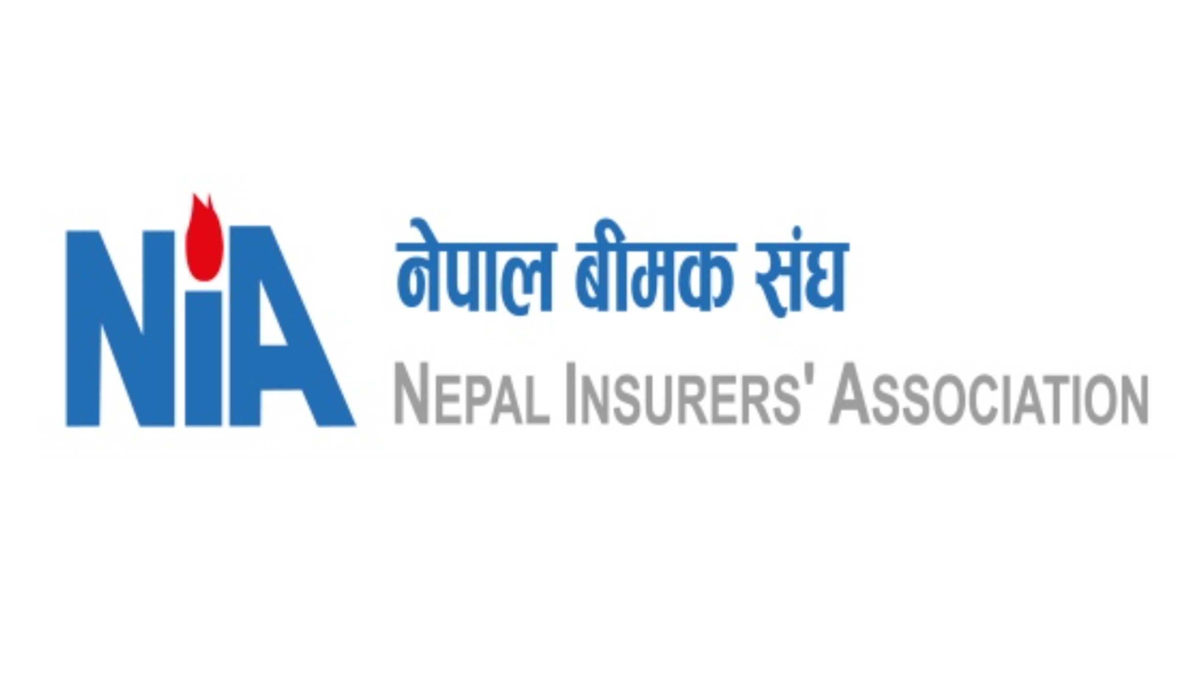 Logo NIA