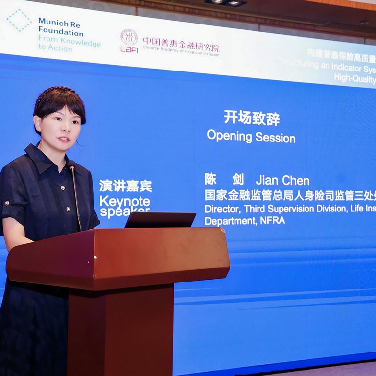 Chen Jian, Director at the National Financial Regulatory Administration (NFRA)
