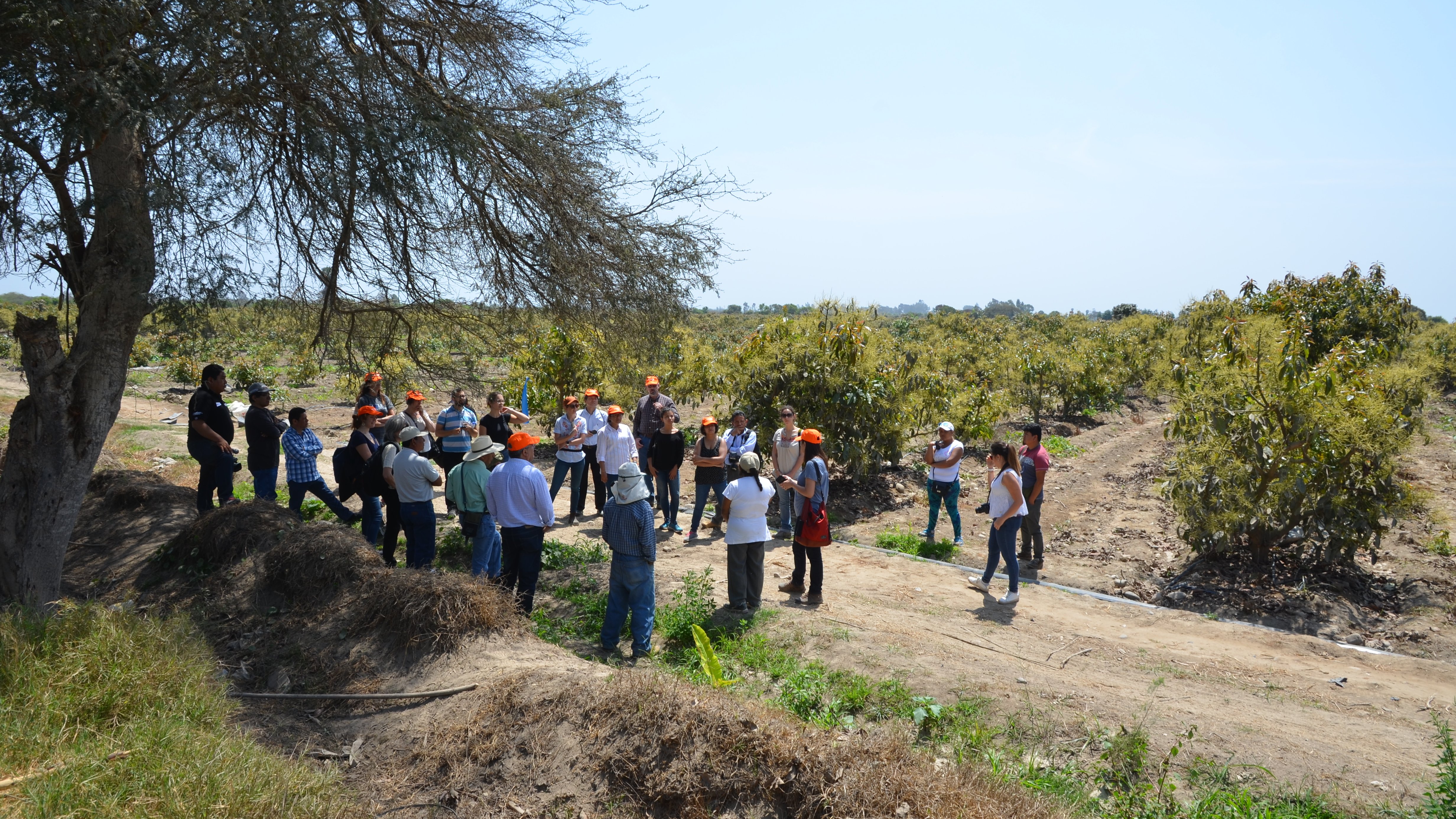 The Landscape of Microinsurance Archive