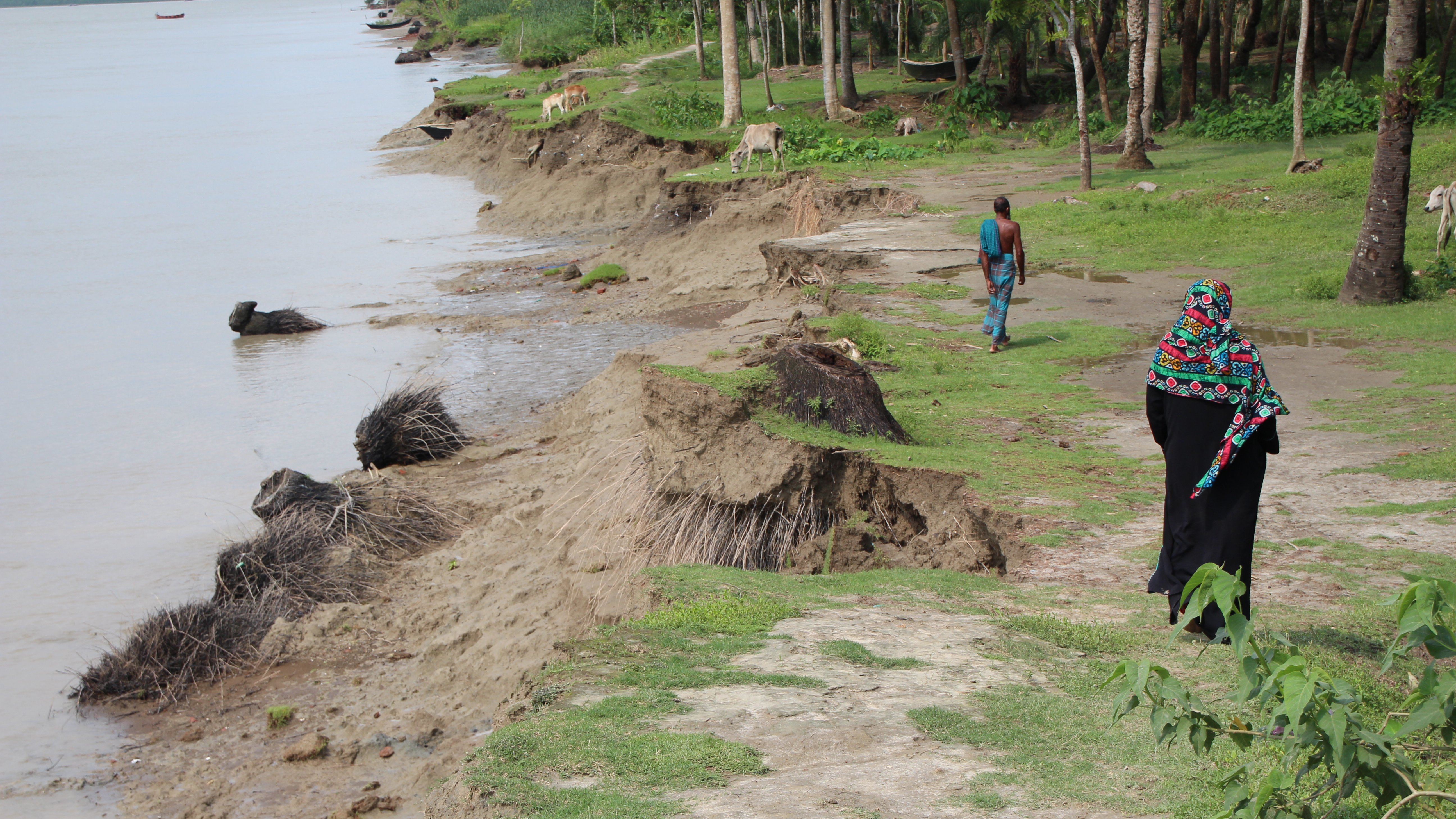 PAREMIA - Partnerships for ambitious resilience and mitigation action Partnerships for climate protection