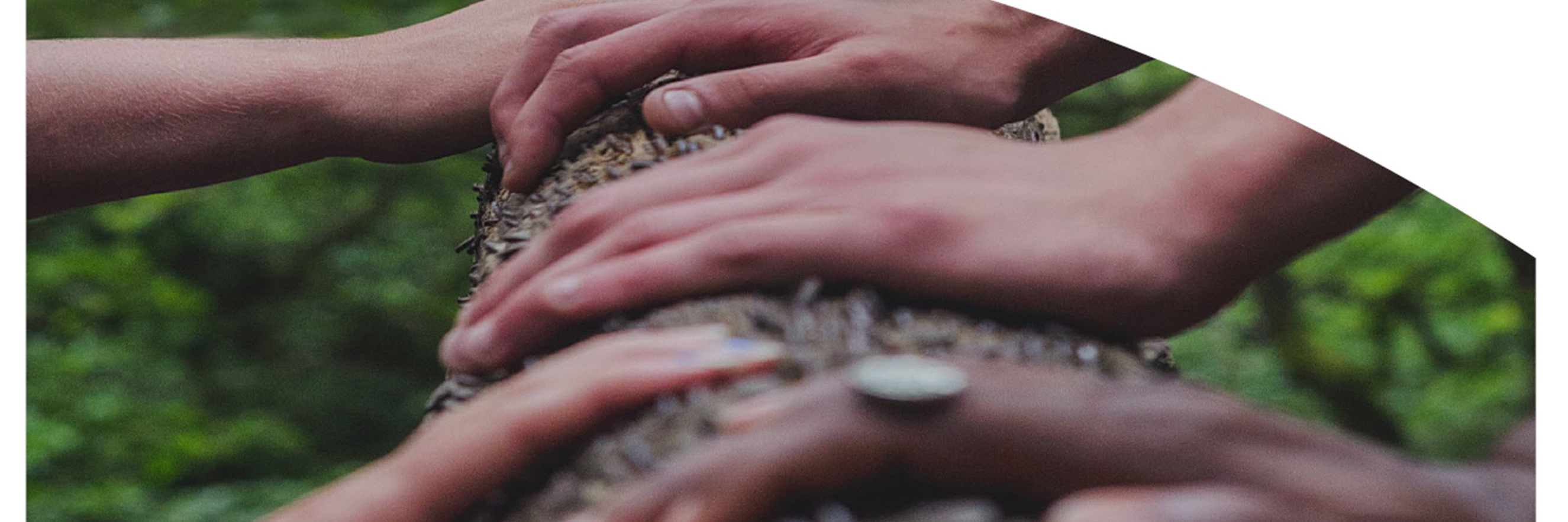 PAREMIA Hands PAREMIA Hands