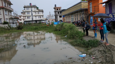 Standing water after heavy rains is a threat in many urban areas in Nepal. Mosquitos find breeding ground and diseases can more easily spread. Standing water after heavy rains is a threat in many urban areas in Nepal. Mosquitos find breeding ground and diseases can more easily spread.