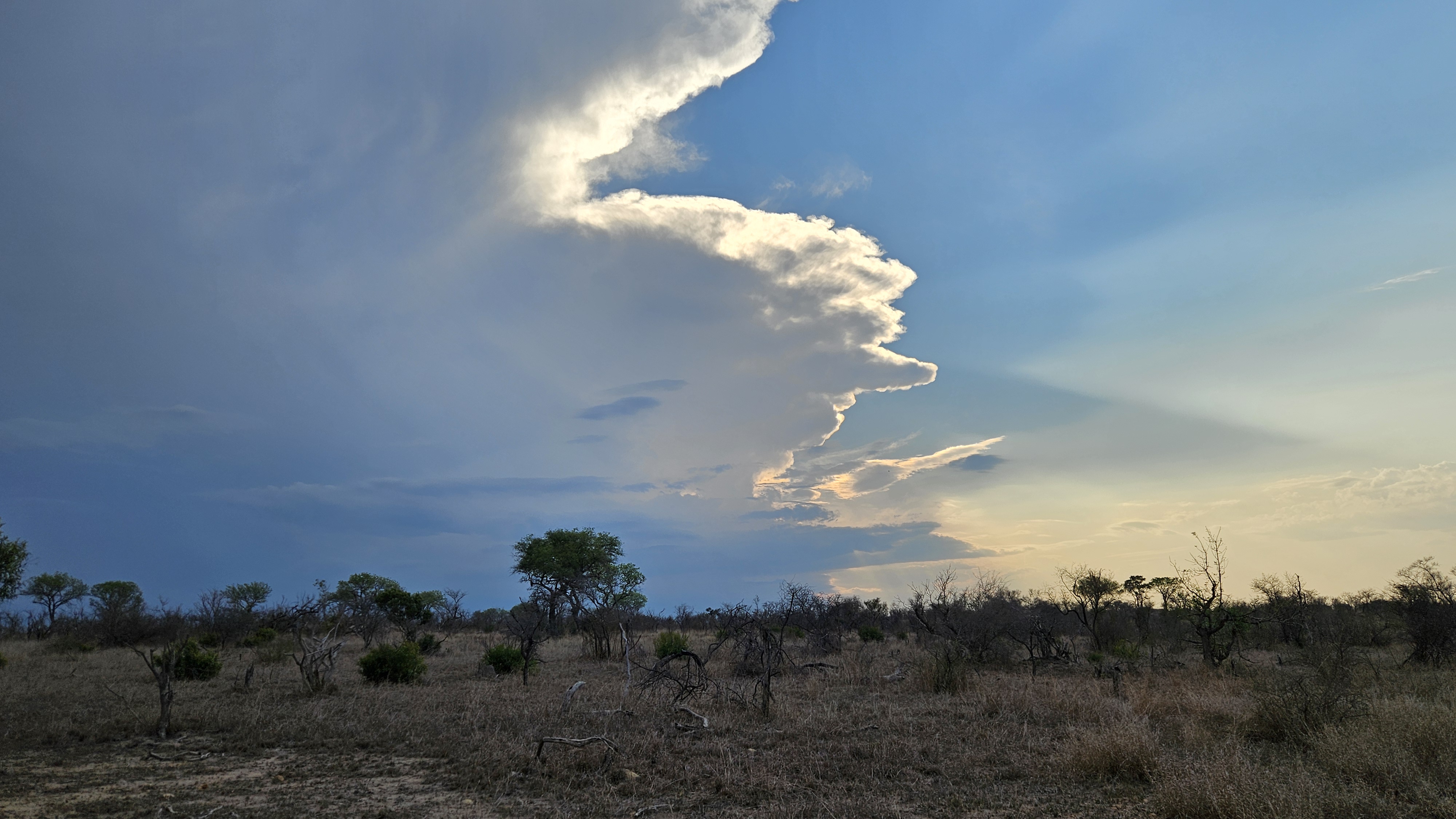 A vast, open landscape features a dramatic sky with layered clouds transitioning from dark to light shades. The horizon showcases soft pastels as the sun sets, while scattered trees dot the dry terrain. The scene conveys a sense of tranquility, with wispy clouds creating a striking silhouette against the fading light.