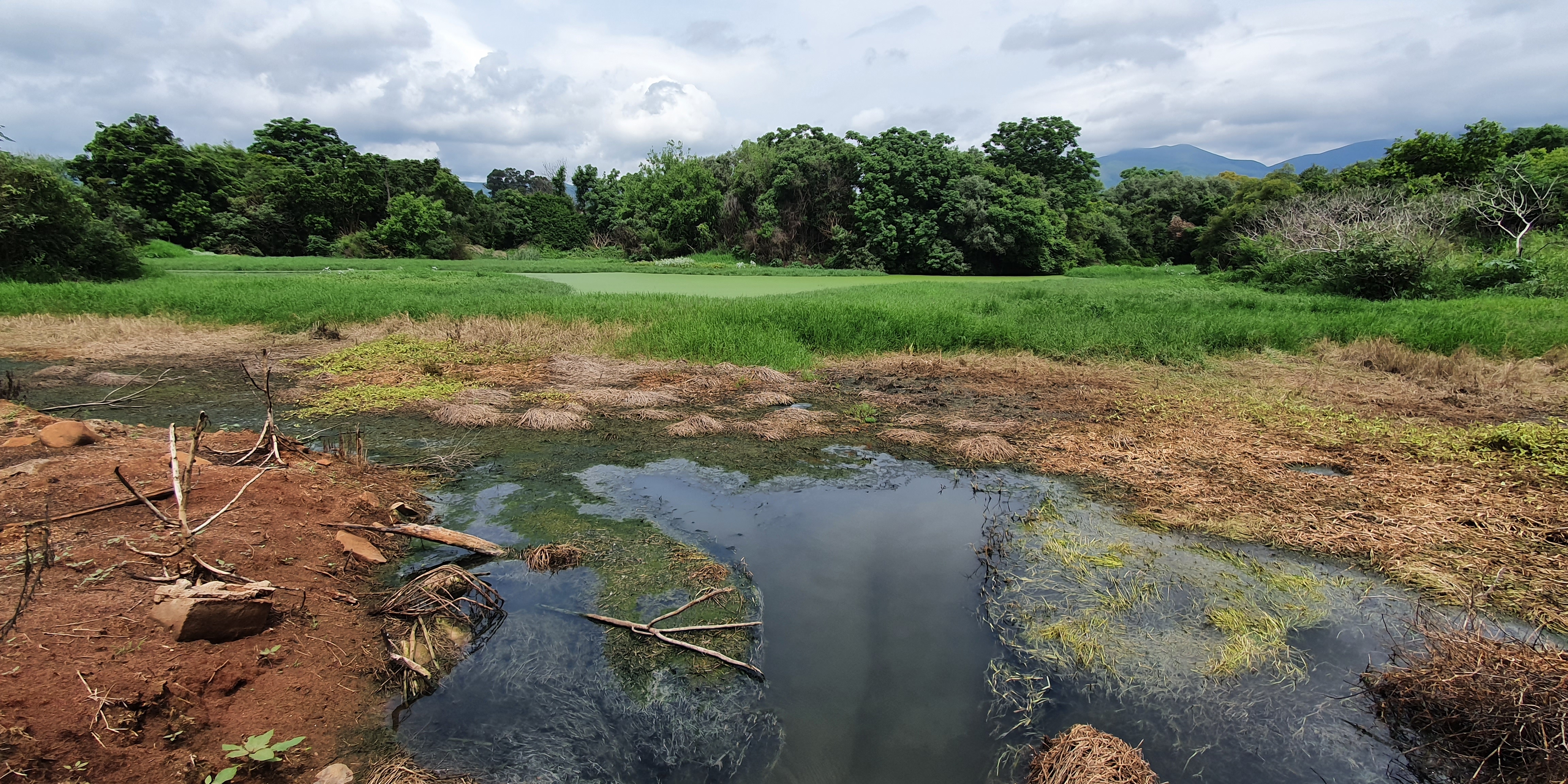 Inkomati River Village Inkomati River Village