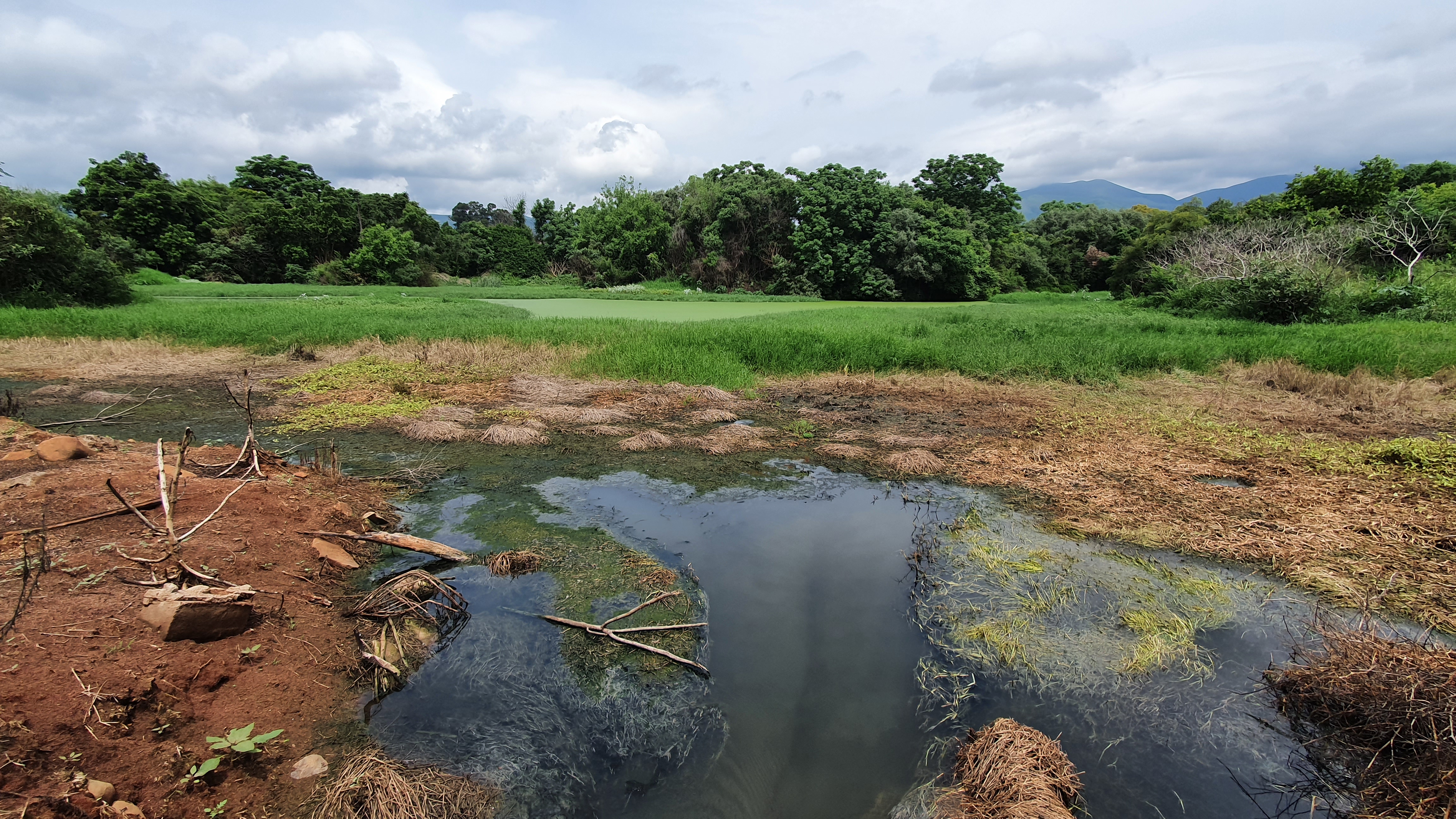 polluted river