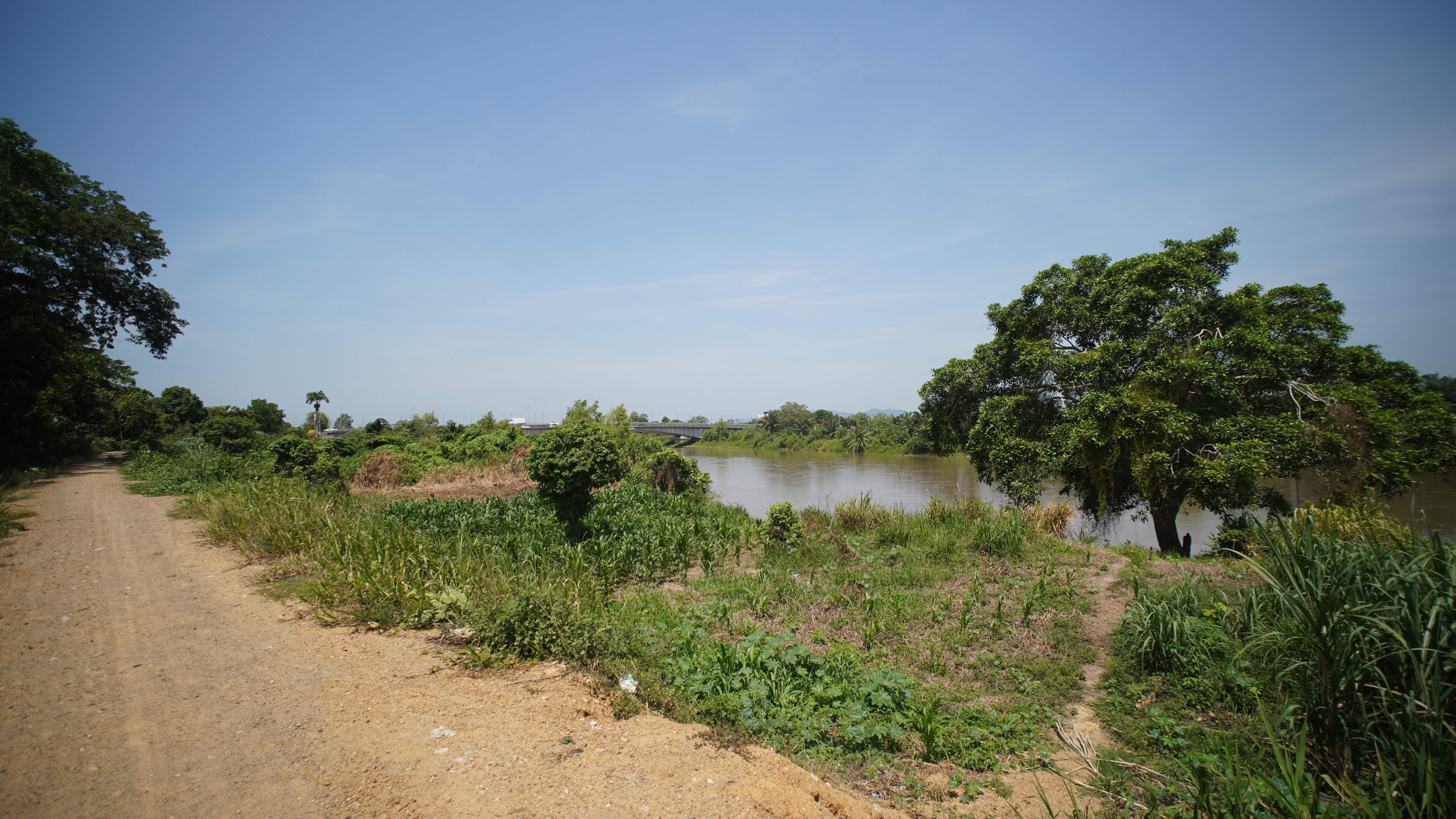 River and dyke in Honduras